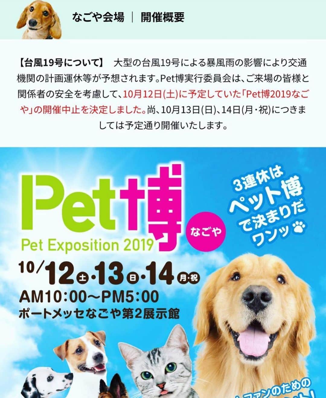 愛内里菜のインスタグラム：「みなさま﻿ 名古屋ペット博 初日の１２日が﻿ 台風19号の影響により﻿ 中止となりました。﻿ ﻿ １３日、１４日は﻿ 開催されるとのことです。﻿ ﻿ ですので﻿ 垣内りかトークショーは﻿ １３日のみ10時30分からとなり、﻿ トークショー後 45分ほど﻿ ボンボンコピーヌブースに立たせていただきます😌﻿ ﻿ みなさまご無理のないよう﻿ お気をつけてお越し下さいませ。﻿ ﻿ みんな無事に過ごせますように🙏」
