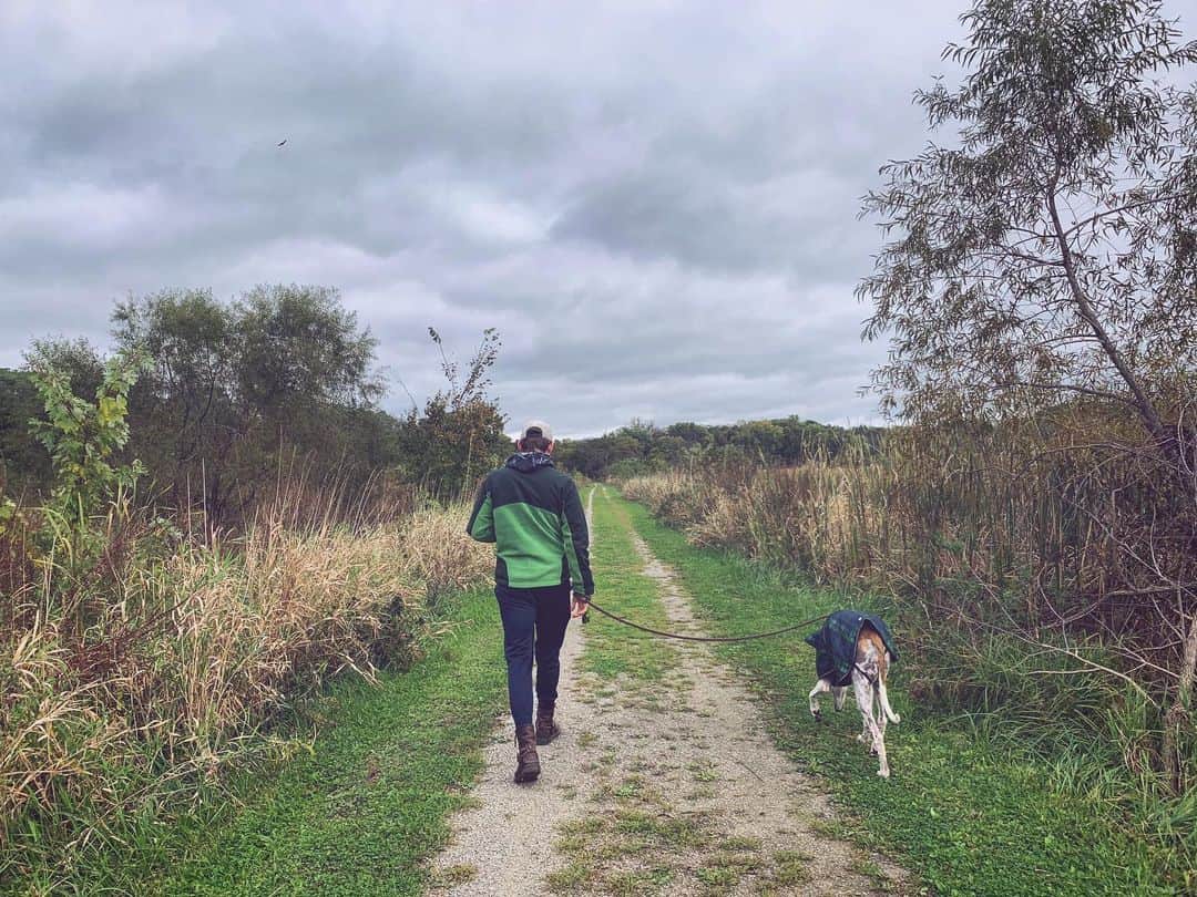 イーライ・リエブのインスタグラム：「Yay for fall mornings in the country. Don’t really need anything more than this 🍂」
