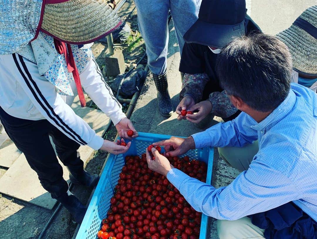 巻誠一郎さんのインスタグラム写真 - (巻誠一郎Instagram)「月1のテレビタ出演！  テレビ前には待望のミニトマトのアルル収穫！  綺麗な赤の美味しいミニトマト出来上がりましたよ！  テレビタのスタッフの皆さんにも大好評でした☆  これから収穫の時期に入ります！  #テレビタ #月1出演 #農業 #のうふく連携 #ミニトマト #アルル #巻誠一郎」10月11日 16時05分 - makiseiichiro9
