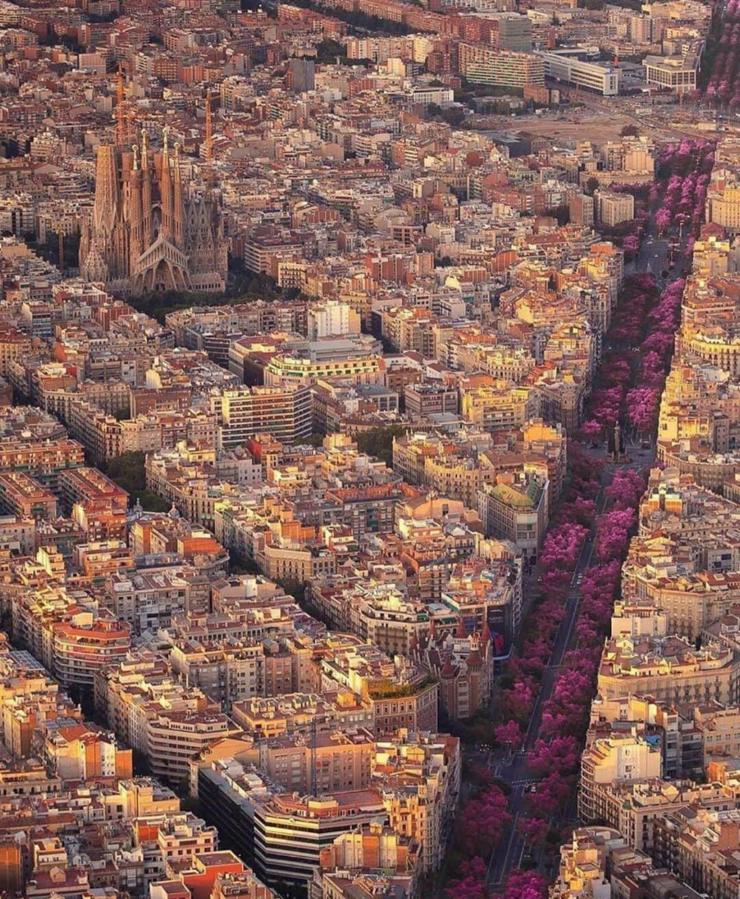 Wonderful Placesさんのインスタグラム写真 - (Wonderful PlacesInstagram)「Barcelona - Spain ✨💜💜💜✨ . Pictures by ✨✨@jacob✨✨ #wonderful_places for a feature 💜」10月11日 16時30分 - wonderful_places