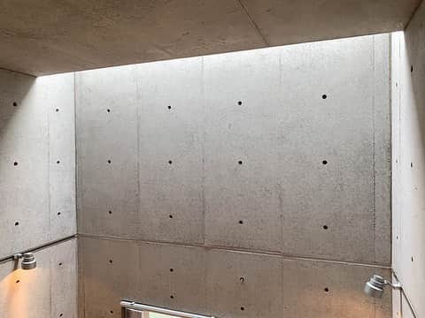 グッドルームさんのインスタグラム写真 - (グッドルームInstagram)「東京 #新高円寺 1K 22.12㎡⁠ ⁠ ⁠ ▼君の優しさ、僕は知ってる⁠ ⁠ これだけ存分に無骨さ漂うのに、⁠ どこか優しいギャップを感じる。⁠ ⁠ 工夫が光るデザイナーズをご紹介。⁠ ⁠ ・⁠ これぞ、コンクリート打ちっ放しの醍醐味。⁠ と言わんばかり、天井の高いお部屋です。⁠ ⁠ 壁や天井のほとんどにコンクリを採用。⁠ ロフト部分は床までグレーの景色、⁠ この無骨さは圧巻です。⁠ ⁠ これだけコンクリを存分に使えど、⁠ アングラ感が出ない工夫も光ります。⁠ ⁠ 居室の窓辺から上を見上げると、天窓。⁠ 程よく光が入り、お部屋に心地よさをプラス。⁠ ⁠ そしてさらに、床には無垢材を採用。⁠ 肌触りも良い無垢床にすることで、⁠ さらに心地よさをプラス。⁠ ⁠ クールな中にも、感じる優しさ。⁠ どうりで素敵なわけです。⁠ ⁠ ・⁠ こちらの物件は実際に住めるお部屋です。詳細はストーリー、ハイライトにて！⁠ ・⁠ こだわりのお部屋探しは、@goodroom_jp から URLをチェック！⁣⁣⁣⁣⁣⁣⁣⁣⁣⠀⁣⠀﻿⁠ ・⠀﻿⁠ ※最新のお家賃につきましては、リンク先物件ページからご確認ください。⁠」10月11日 17時39分 - goodroom_jp