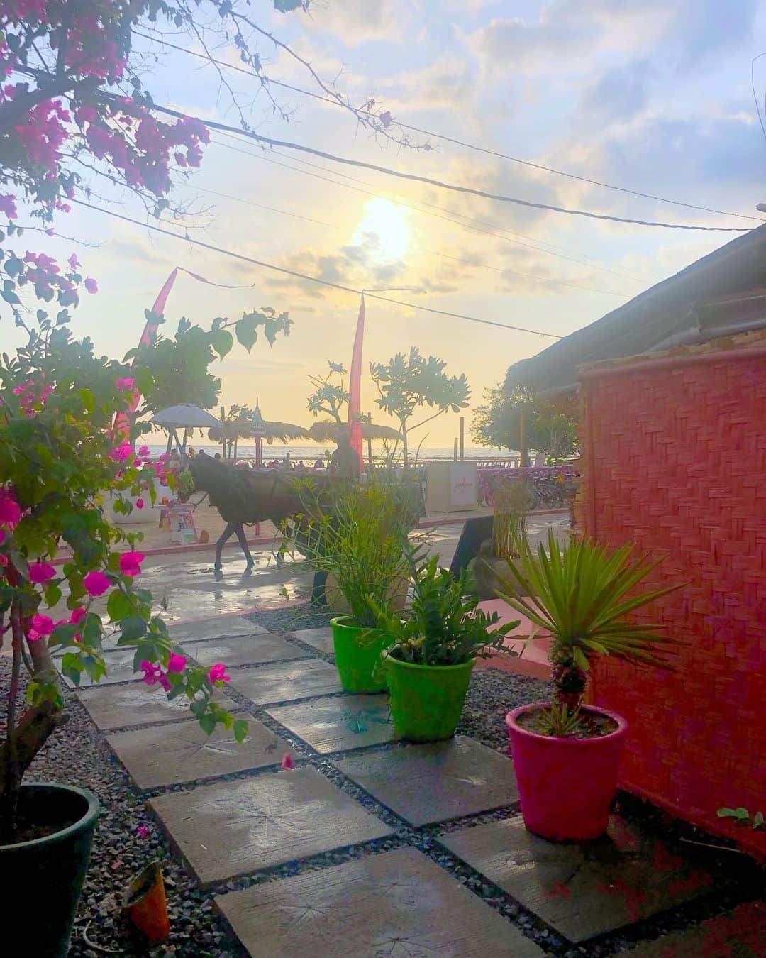 miniさんのインスタグラム写真 - (miniInstagram)「PINK COCO Gili Trawangan🏩💓💗 ギリ島にあるぜーんぶピンクのヴィラ👅💗💗 部屋の中も見ての通りぜーんぶピンク😍 部屋の前のプールや、ヴィラの目の前のビーチに行けるよーにビーチサンダルまでピンクだよ👙 ギリ島に行ったら絶対可愛いから泊まってみてね💕 #bali #trip #balitrip #Gili #Gilitrawangan #giliislands #pink #pinkworld #pinkvilla #villa #pinkcoco #pinkcocogilitrawangan #バリ #バリ旅行 #ギリ島 #ピンクココ」10月11日 18時00分 - mini.stagram