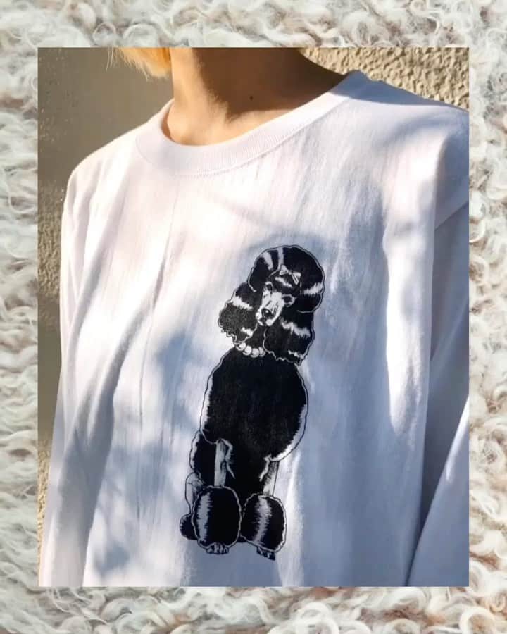 のインスタグラム：「【告知 / PEGION POP UP SHOP】 10/16(水)～22(火) 「PEGION（ペギオン）」のポップアップショップが開催！ PEGIONはベーシック＆モード派のドッグクローズや、犬をテーマとしたオーナーグッズを取り扱うセレクトショップです。 期間中は、これからの時期に活躍する犬服をはじめ、ロングTシャツやスウェット、バッグなどを多数展開。 またCOOKIEBOY(@_cookieboy_)とのコラボ商品も販売スタートいたします。 ぜひお楽しみに！ PEGION → @pegion_dog 営業時間：12:00～21:00 表参道店：渋谷区神宮前6-6-8 1F TEL:03-3400-0860  #PEGION #PEGION_DOG #PAMEOPOSE #PAMEOPOSEOMOTESANDO #HARAJUKU #OMOTESANDO」
