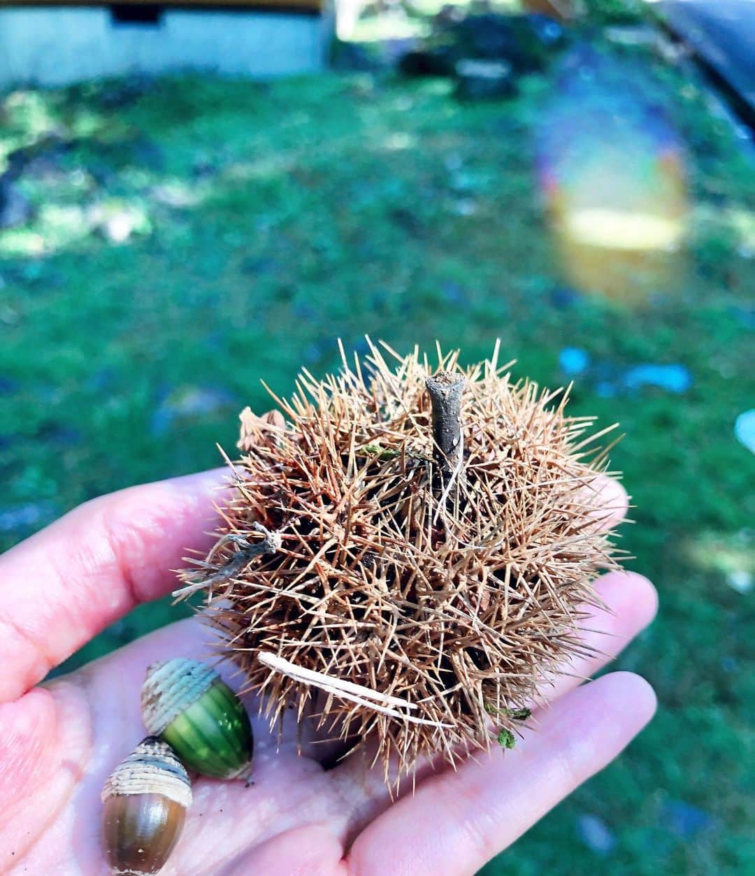 辻詩音のグルメインスタ