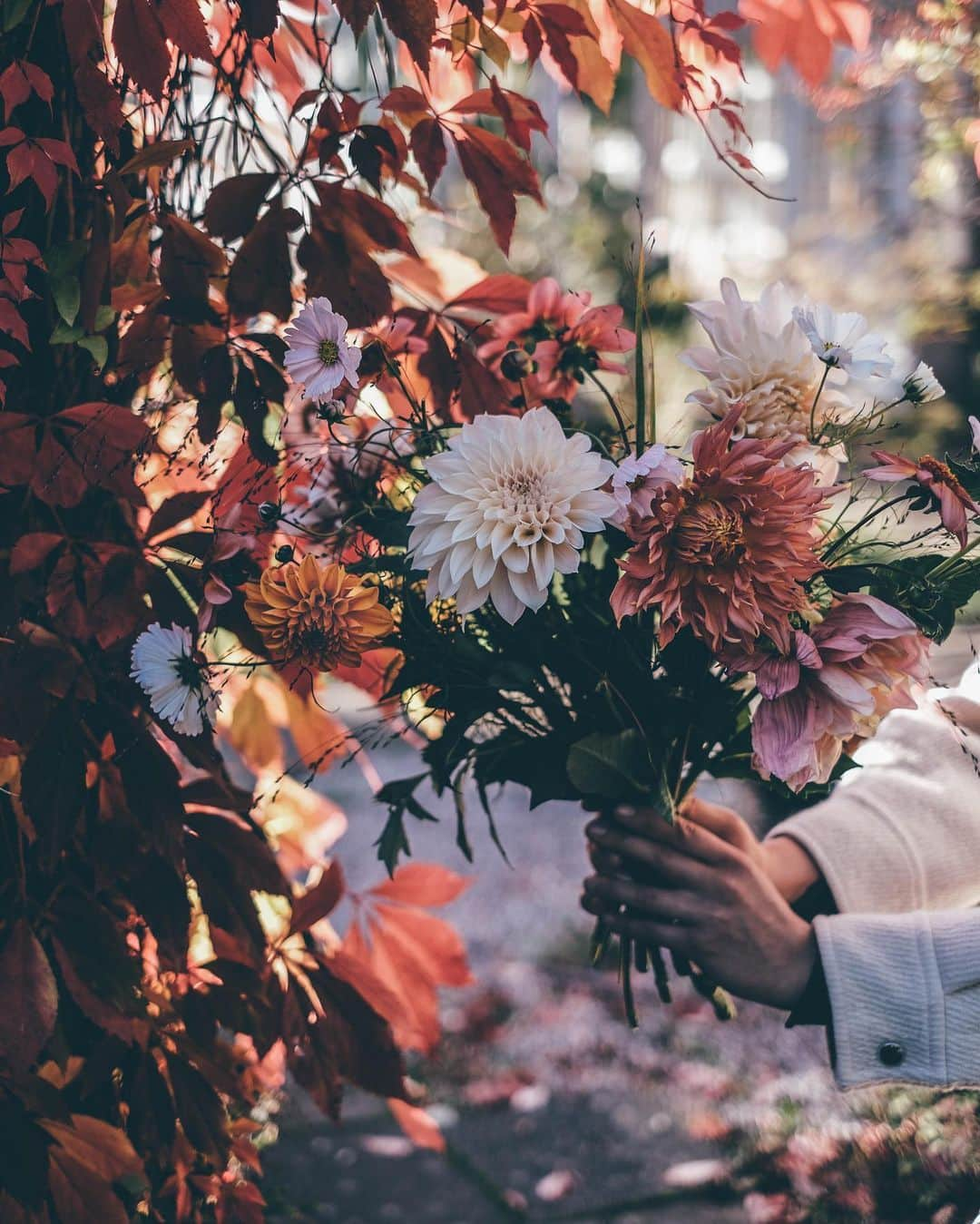 Our Food Storiesさんのインスタグラム写真 - (Our Food StoriesInstagram)「The prettiest autumn flowers 🌸🍁✨ Happy Friday guys!  _____ #autumnstyle #autumnvibes🍁 #autumnflowers #flowery #bloooms #simplejoys #fellowmag #herbstdekoration #countrysidewalk #countrysidestyle #momentslikethese #chasinglight #flowerlover #dahlia #dahlien」10月11日 20時58分 - _foodstories_