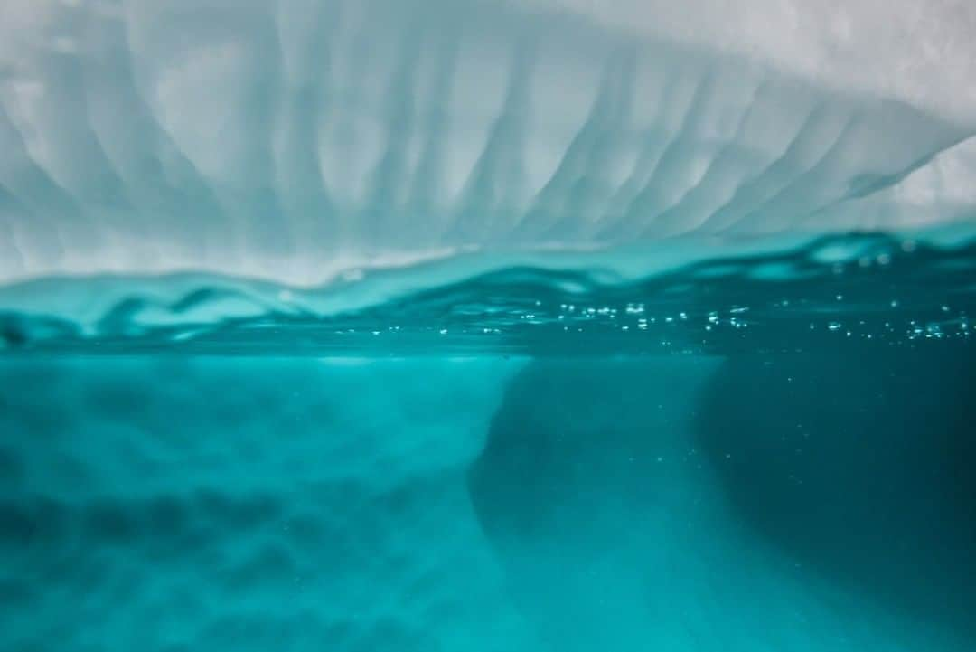 National Geographic Travelさんのインスタグラム写真 - (National Geographic TravelInstagram)「Photo by @daisygilardini | Water, according to the strict dictionary definition, is a colorless, transparent, odorless liquid that forms the seas, lakes, rivers, and rain and forms the molecular basis of fluids in living organisms.  Water color depends on environmental conditions. When you look at water, you see the molecular impurities that have been dissolved in it. While it looks transparent in small quantities—in a glass, for example—pure water has a slightly blue tint that becomes a deeper blue in greater quantities, such as lakes and oceans.  The beautiful turquoise color of the Antarctic water in this picture is due to weak absorption of reds in the visible spectrum, coupled with the sunlight reflecting off the white iceberg.  Follow me @daisygilardini for more images and behind-the-scenes stories. #Antarctica #iceberg #climatechange #conservation」10月11日 21時07分 - natgeotravel