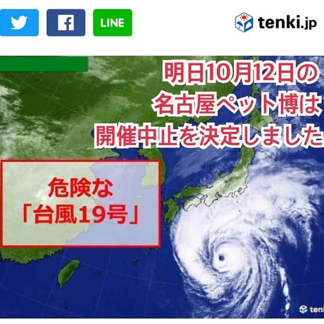 大原かおりさんのインスタグラム写真 - (大原かおりInstagram)「名古屋ペット博 事業部からのお知らせです⚠️ 【台風19号について】 大型の台風19号による暴風雨の影響により交通機関の計画運休等が予想されます。 Pet博実行委員会はご来場の皆様と関係者の安全を考慮して10月12日(土)に予定していた「Pet博2019なごや」の開催中止を決定しました。 尚、10月13日(日).14日(月･祝)につきましては予定通り開催いたします。 ・・・・・・・・・・・・・・・ という事になりました。 ご予定頂いていた皆様、申し訳ございません🙇‍♀️ すでに飛行機の欠航や鉄道の運転見合わせ、道路の通行止めなどが決定している所があります。 12日と13日は開催されますが各交通機関の状況を確認し安全を確認して頂き予定の変更も検討してください。 台風が通る地域に被害が少ない事を祈ります。。」10月11日 21時43分 - oharagaori_otty
