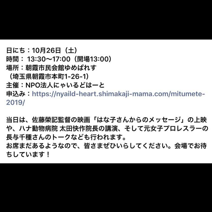 杉本彩さんのインスタグラム写真 - (杉本彩Instagram)「* * 是非お越しください❗️」10月11日 22時33分 - sugimoto_aya0719