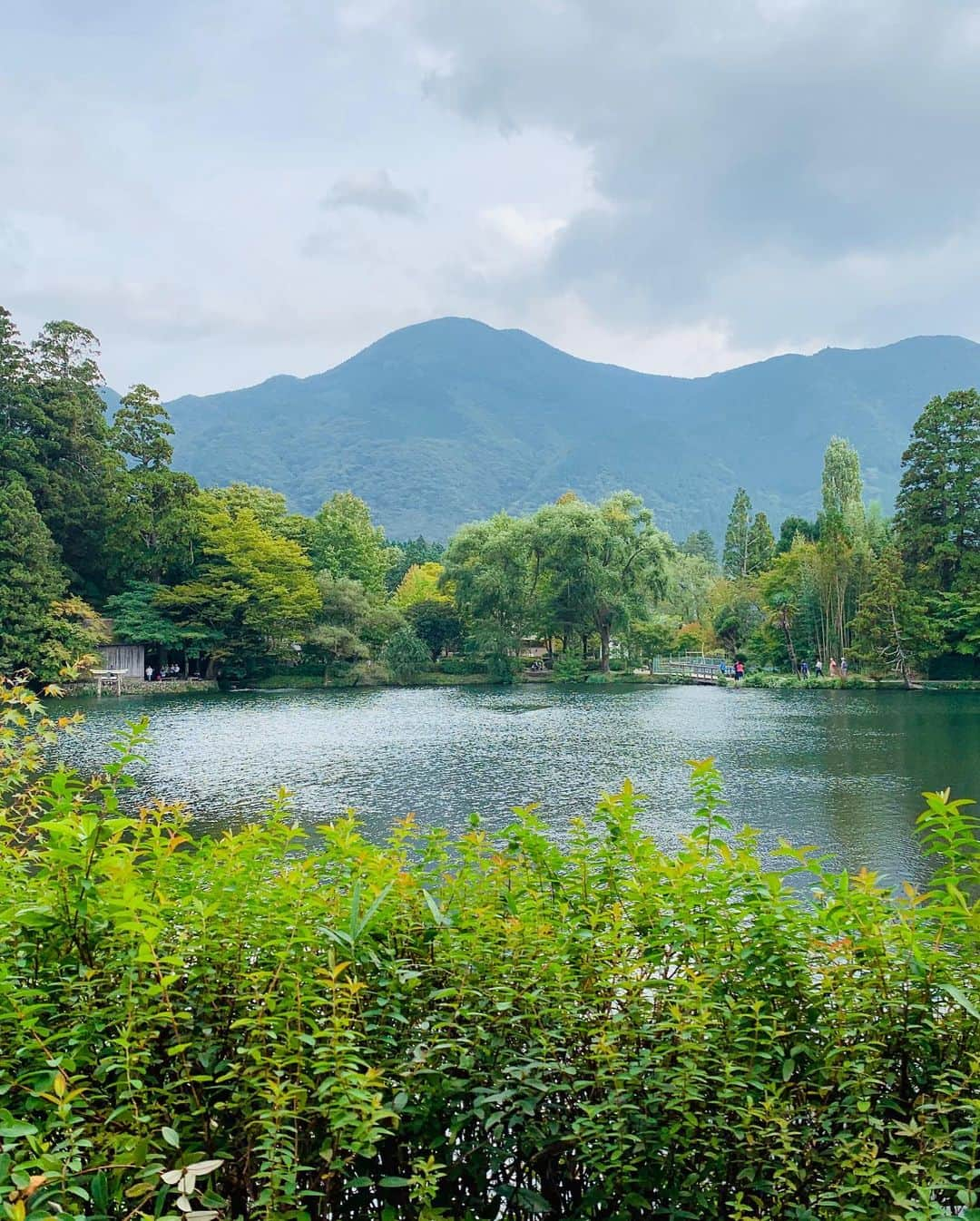 藤咲えりさんのインスタグラム写真 - (藤咲えりInstagram)「目的は湯布院。 湿った土木の香りと虫の鳴き声が気持ち良かった。　#湯布院#由布岳#山荘わらび野#宿のスリッパだけど」10月12日 10時02分 - eri_fujisaki91