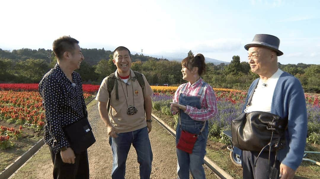 フジテレビ「なりゆき街道旅」さんのインスタグラム写真 - (フジテレビ「なりゆき街道旅」Instagram)「明日10/13(日)12時～フジテレビにて放送のなりゆき街道旅は田山涼成&はるな愛＆我が家坪倉が秋の那須高原をなりゆきまかせ旅！ 今が見頃の紅葉＆絶景の空中露天風呂で大自然を満喫！秋の旅行にぴったり！家族でもカップルでも楽しめる那須高原の魅力が満載！ #なりゆき街道旅 #那須高原 #ハライチ澤部 #田山涼成 #はるな愛 #我が家坪倉 #秋 #紅葉 #絶景 #露天風呂 #大自然 #旅行 #家族 #カップル」10月12日 10時13分 - nariyuki_kaido_tabi