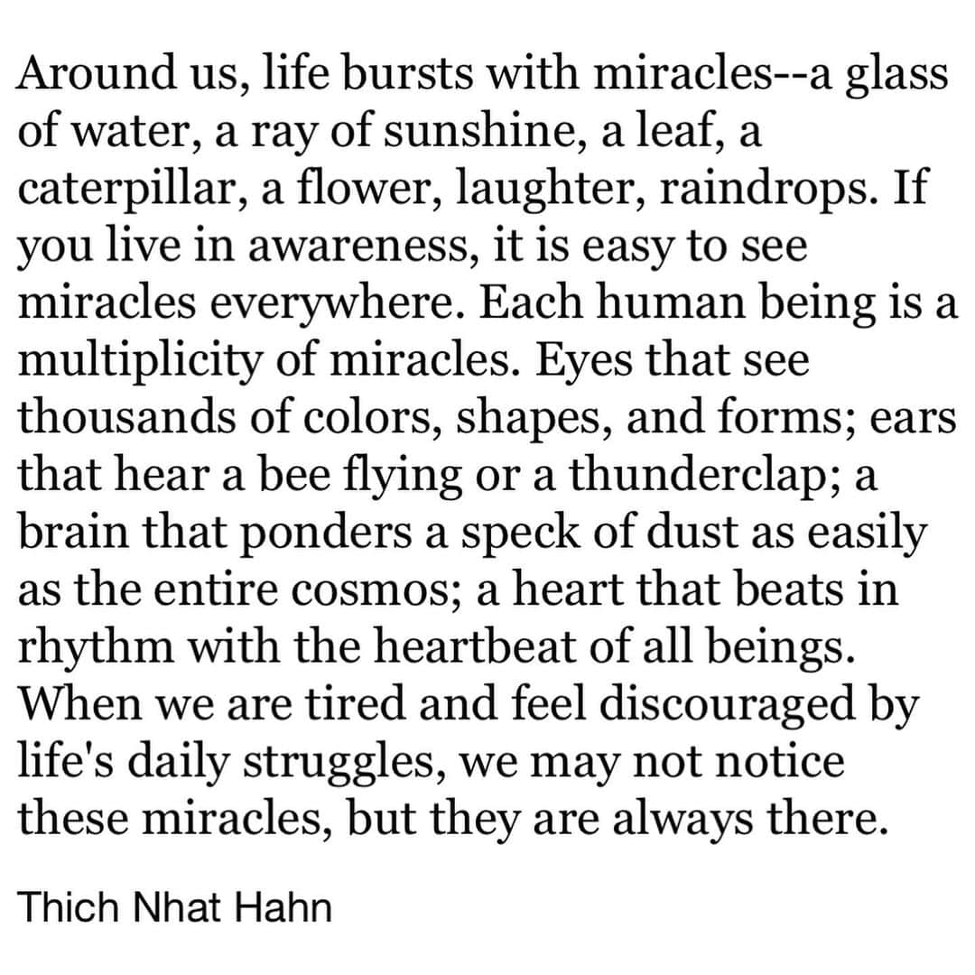 Leslie Camila-Roseさんのインスタグラム写真 - (Leslie Camila-RoseInstagram)「Happy birthday Thich Nhat Hanh. Thank you for the teachings, wisdom and dedication to making this earth a loving, mindful and peaceful place. “We often think of peace as the absence of war, that if powerful countries would reduce their weapon arsenals, we could have peace. But if we look deeply into the weapons, we see our own minds- our own prejudices, fears and ignorance. Even if we transport all the bombs to the moon, the roots of war and the roots of bombs are still there, in our hearts and minds, and sooner or later we will make new bombs. To work for peace is to uproot war from ourselves and from the hearts of men and women. To prepare for war, to give millions of men and women the opportunity to practice killing day and night in their hearts, is to plant millions of seeds of violence, anger, frustration, and fear that will be passed on for generations to come.” Thich Nhat Hanh . . . . . . . #thichnhathanh #mindfulness #love #universallove #counsciousliving #mindfuleating #walking #earthlover #wisdom #buddhism」10月12日 1時48分 - leslie_coutterand