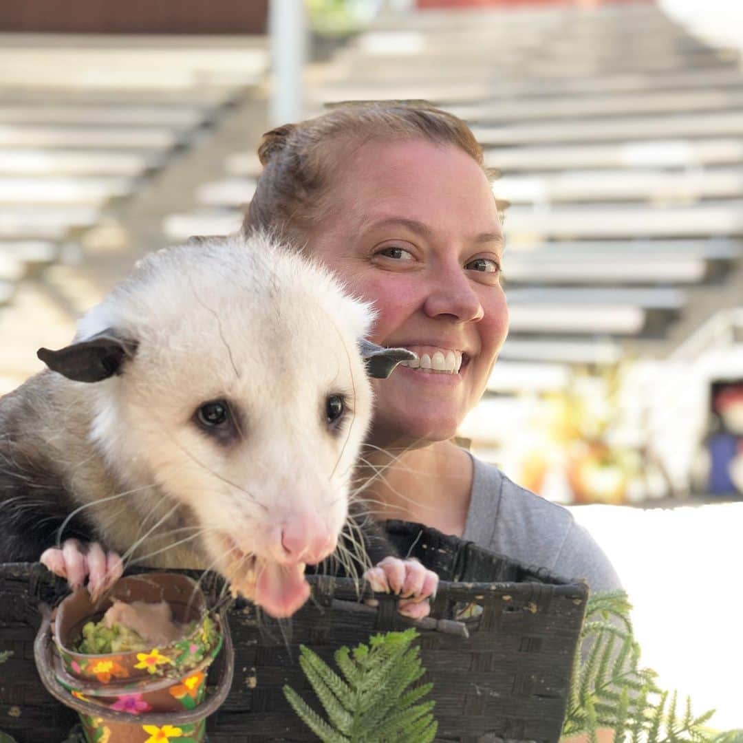 コリン・ドネルさんのインスタグラム写真 - (コリン・ドネルInstagram)「Continued the birthday celebration with an amazing visit to the @sandiegozoo! Thank you to @thekuriouskelly and team for taking the time with us and making @pattimurin and I smile in the biggest way possible!」10月12日 2時35分 - colindonnell