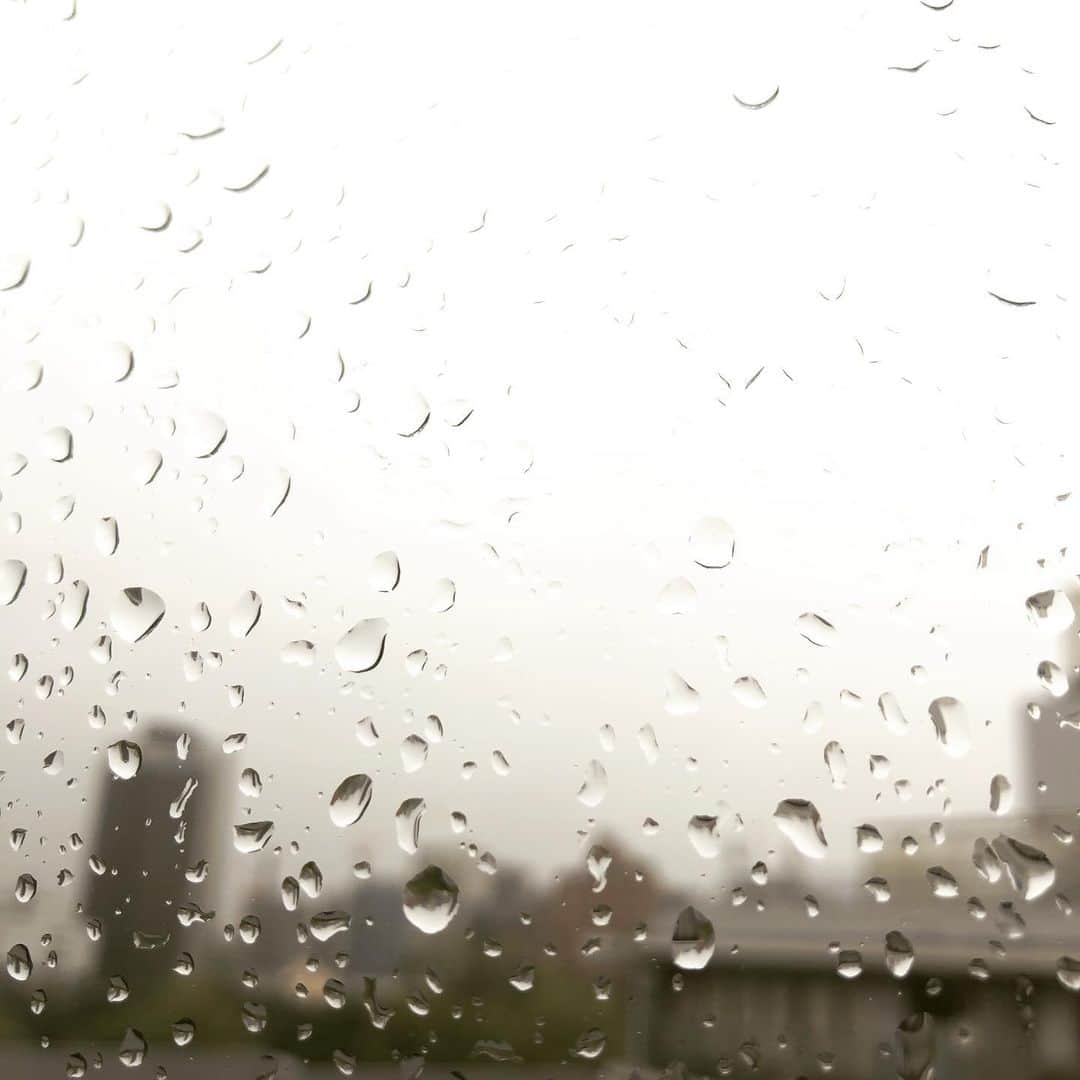 濱田マサルさんのインスタグラム写真 - (濱田マサルInstagram)「東京は時折激しい雨が降っております。 皆様がお住まいのエリアは、雨風の影響大丈夫でしょうか？ 本日は、名古屋栄店・東京表参道仮店舗は臨時休業とさせて頂いております。 （明日以降の営業に関しましては　@blanche_etoile  アカウントをご覧下さいませ。） 福岡天神西通り店・大阪心斎橋店・大阪梅田店は通常通りの営業を予定しておりますが、大阪心斎橋店・大阪梅田店の午後の営業に関しての変更がある場合。Instagramにてお知らせさせて頂ければと思っております。 blanche étoile営業に関しましては、基本、交通機関の運行状況に準じております。 ご来店のお客様・店舗スタッフの安全第一に考え、無理の無い様にと考えております。 どうぞご理解の程、よろしくお願い申し上げます🙏🏻」10月12日 8時53分 - hamadamasaru