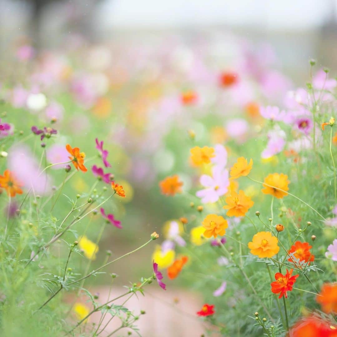 kiccyomuのグルメインスタ