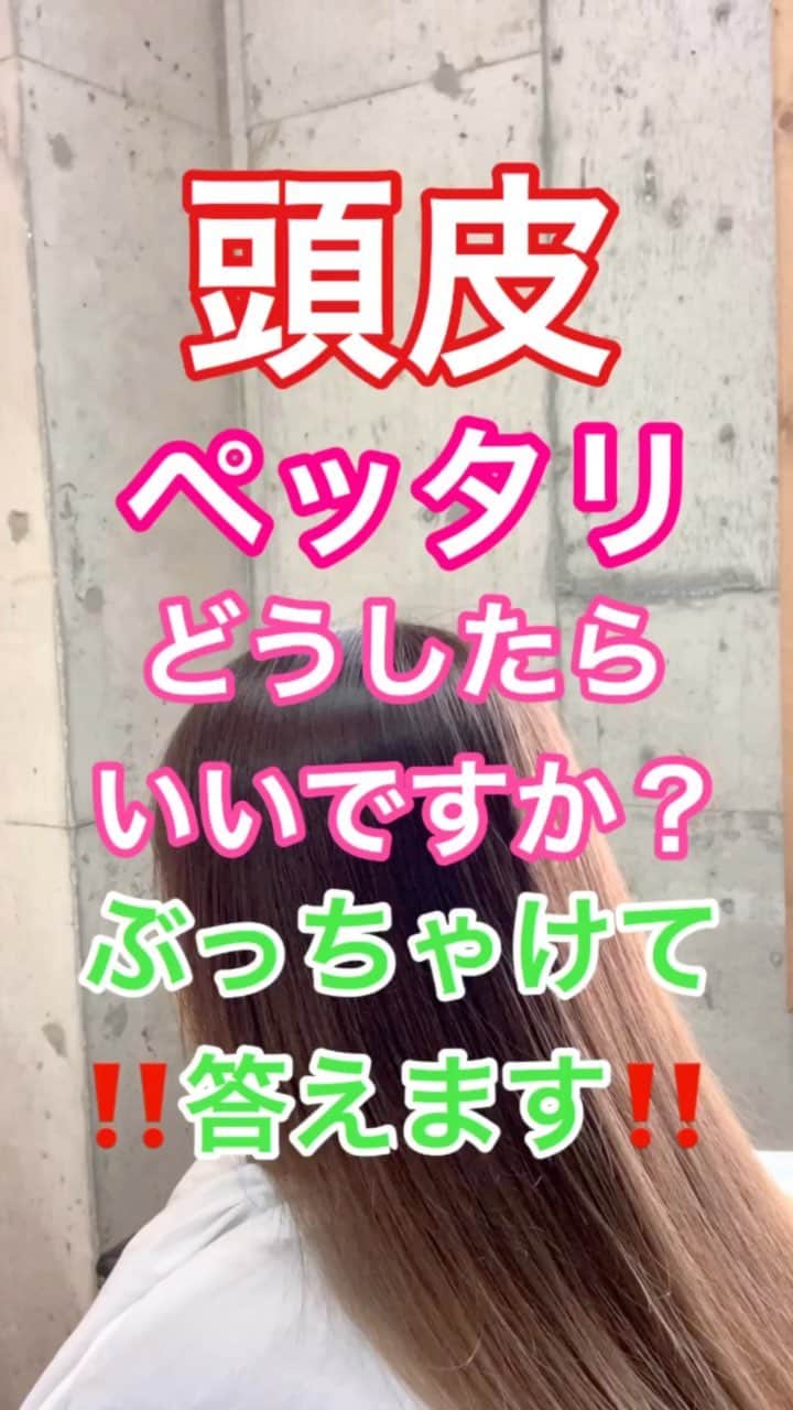 鶴谷和俊のインスタグラム：「【頭皮】頭皮がぺったり‼️どうしたらいいですか？ぶっちゃけて答えます✂️ ・ 時間が経つと ぺったりする頭皮💦 気になりますよね？ ハッキリ言って‼️ ・ あなたの頭皮 【健康な証拠】 ・ 何度シャンプーしても 体は皮脂をつくります🙋‍♂️ 皮脂を体が 作らなくなれば、体がやばい状態🙋‍♂️ ・ ふんわりしたとしても 体から油分が出なくなったら ひどい乾燥肌。 ・ それでも気になるのであれば パウダー系スタイリング剤を 使いましょう🙋‍♂️ 気になる部分にぽんぽんするだけ✂️ @fujiko_brand  フジコポンポンパウダー ・ 参考にしてくださいね😊 ・ #Fujiko #フジコ #ぽんぽんパウダー #ポンポンパウダー #とくだけできまる #とくだけでセクシー #アホ毛 #産後 #産後抜け毛 #パサパサ #チリチリ #髪の毛 #髪 #艶髪 #まとまり #ヘアアレンジグッズ #ヘアケア #ヘアケアグッズ #ヘアケア商品 #ヘアケア製品 #ヘアアレンジ #ヘアセット #ヘアスタイリング」