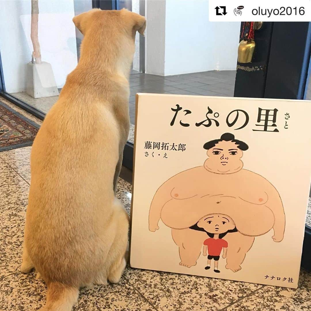 福岡晃子のインスタグラム