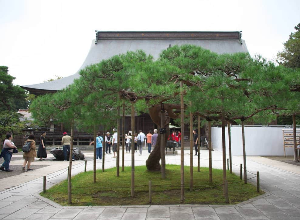 ホームランなみちさんのインスタグラム写真 - (ホームランなみちInstagram)「岩手♡中尊寺⛩ . 世界遺産『中尊寺』に岩手ライブの前に参拝してきました♡ . ガイドさんのお話を聞きながら参拝したのですが、知らない事がたくさん!!! 中尊寺にまつわる人や歴史。興味深いお話ばかりで聴き入ってしまいました😳✨ . 歴史の授業で習った事を大人になって改めて聞いたり、その場所を訪れるとまた違った受け取り方が出来るから本当に面白かった!!! 歴史を改めて勉強したいです!!! . 金色堂は本当に美しかったです✨ 繊細な造りに見惚れてしまいました☺️ 高校生の時にこの金色堂に心打たれて詠んだ俳句があるんです!!! . 『蝉の声　金色に輝く　光堂』 文芸コンクールで賞をもらったんだけど…10年くらい前だからうる覚えで違うかも知れないんだけど😳😂笑 . 松尾芭蕉さんが金色堂で詠んだ有名な俳句 『五月雨の　降り残してや　光堂』 . 金色堂とこの句に感動して詠んだ記憶があります✨ . 美しい場所には美しい歌がありますね♡ . また必ず訪れたい場所です☺️ . . 最後の写真は日本の国歌に出てくる「さざれいし」だそうです。 平安時代に歌われた和歌が君が代の原型と言われているので、改めて意味も理解すると、日本の美しさを感じますね♡ . #japan #岩手 #iwate #平泉 #中尊寺 #金色堂 #平清盛 #源頼朝 #世界遺産」10月12日 18時08分 - nami_onpu_uta