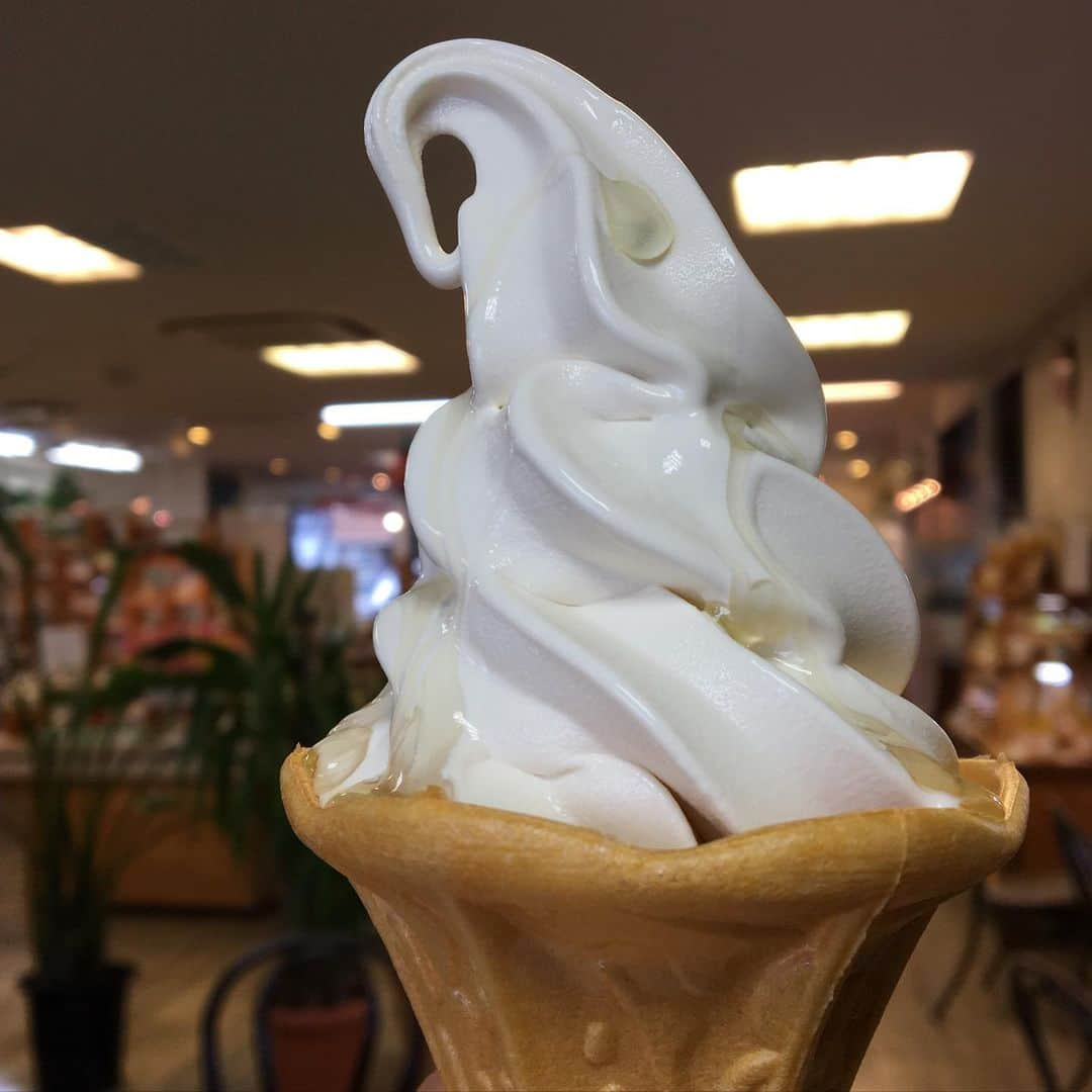 岡山グルメ de ランチのインスタグラム：「* 山田養蜂場 ぶんぶんファクトリーの ぶんぶんソフトクリーム 🍦🍯🐝✨ * あ、いや、まて… そんな名前ではなかったはずだ 蜂蜜がけソフトクリームだ！ 普通に。笑 * すっごく美味しかったー✨ ミルクのソフトクリームに 蜂蜜をかけただけじゃなくて ソフトクリーム自体にも 蜂蜜が入っているみたい。 * #山田養蜂場 #ぶんぶんファクトリー #ソフトクリーム #蜂蜜がけ #蜂蜜 #はちみつ #ハチミツ #岡山スイーツ #岡山グルメ #店名可愛いのにオブジェ恐い #ミツバチ目線のスズメバチらしい #ソフトクリームとか何年ぶりだろう #れんげ蜂蜜も買いました #蜂蜜って綺麗ですよね」