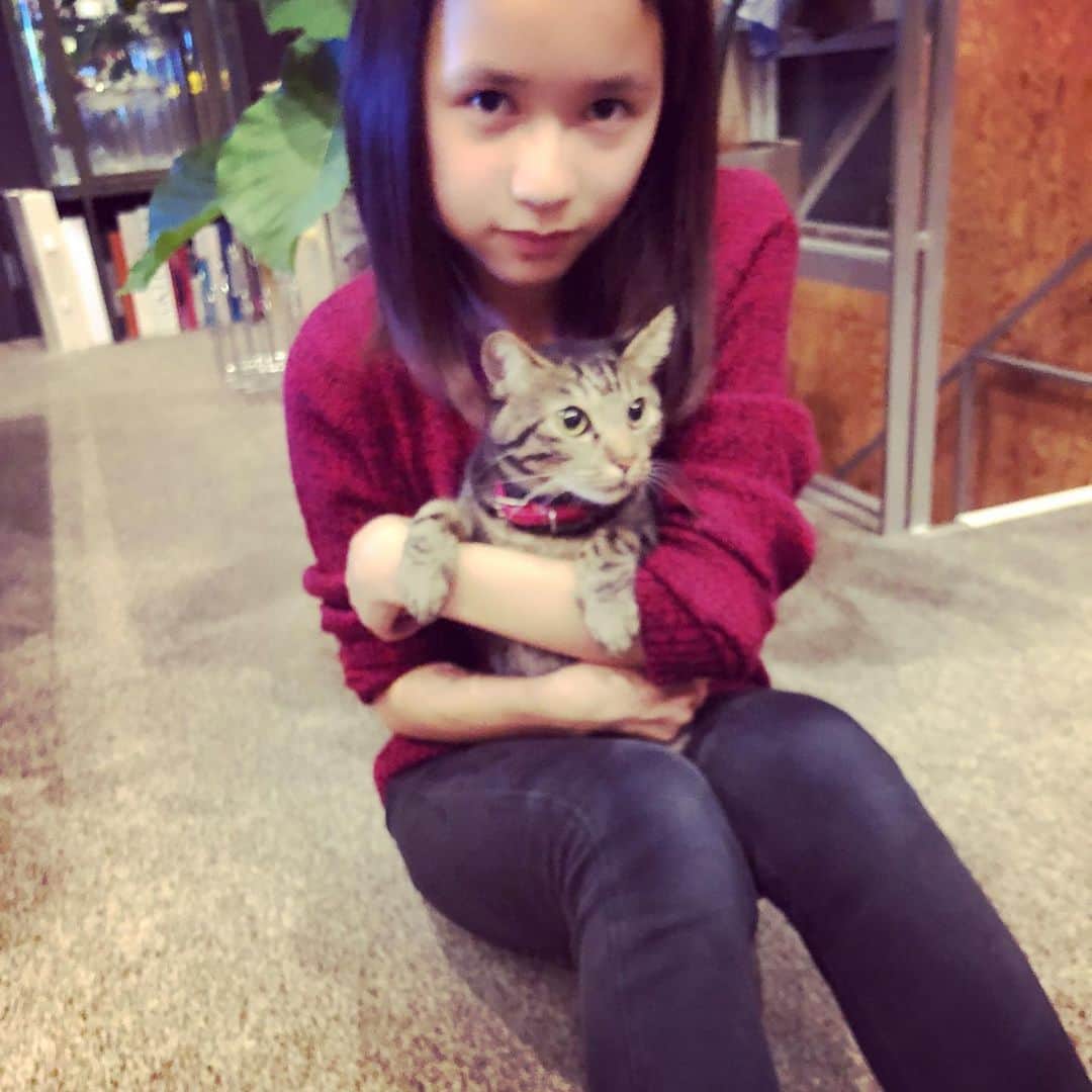 田中杏子さんのインスタグラム写真 - (田中杏子Instagram)「皆さま、台風🌬は大丈夫でしょうか。  災害に備えて、家から一歩も出なくても大丈夫な土曜日。  家にしっぽりいるので、 娘と愛猫が好き好きし始めました。  今晩のピーク、最大の注意を払って、気を付けてくださいね💦💦💦 外は轟轟、響いてます、、、‼️ #akotanaka  #家こもり #保護猫」10月12日 21時39分 - akoakotanaka