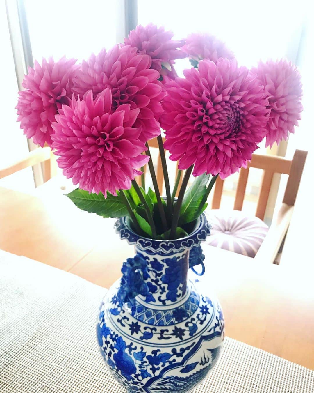 アンミカさんのインスタグラム写真 - (アンミカInstagram)「家に一日いることが決まって、ベランダから室内に入れたオリーブの🌲木やウンベラータの鉢と共に、少しでも部屋が明るくなるようにと花を💐。 引き続き、日本列島の無事を祈りながら.... 。 #一人一人の祈りは大きな力に。」10月12日 23時20分 - ahnmikaofficial