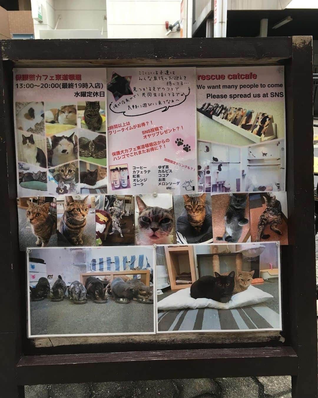 福山理子さんのインスタグラム写真 - (福山理子Instagram)「大阪保護犬カフェ #保護犬カフェ #保護猫カフェ #殺処分ゼロを目指して #殺処分支援活動」10月13日 0時07分 - rikofukuyama