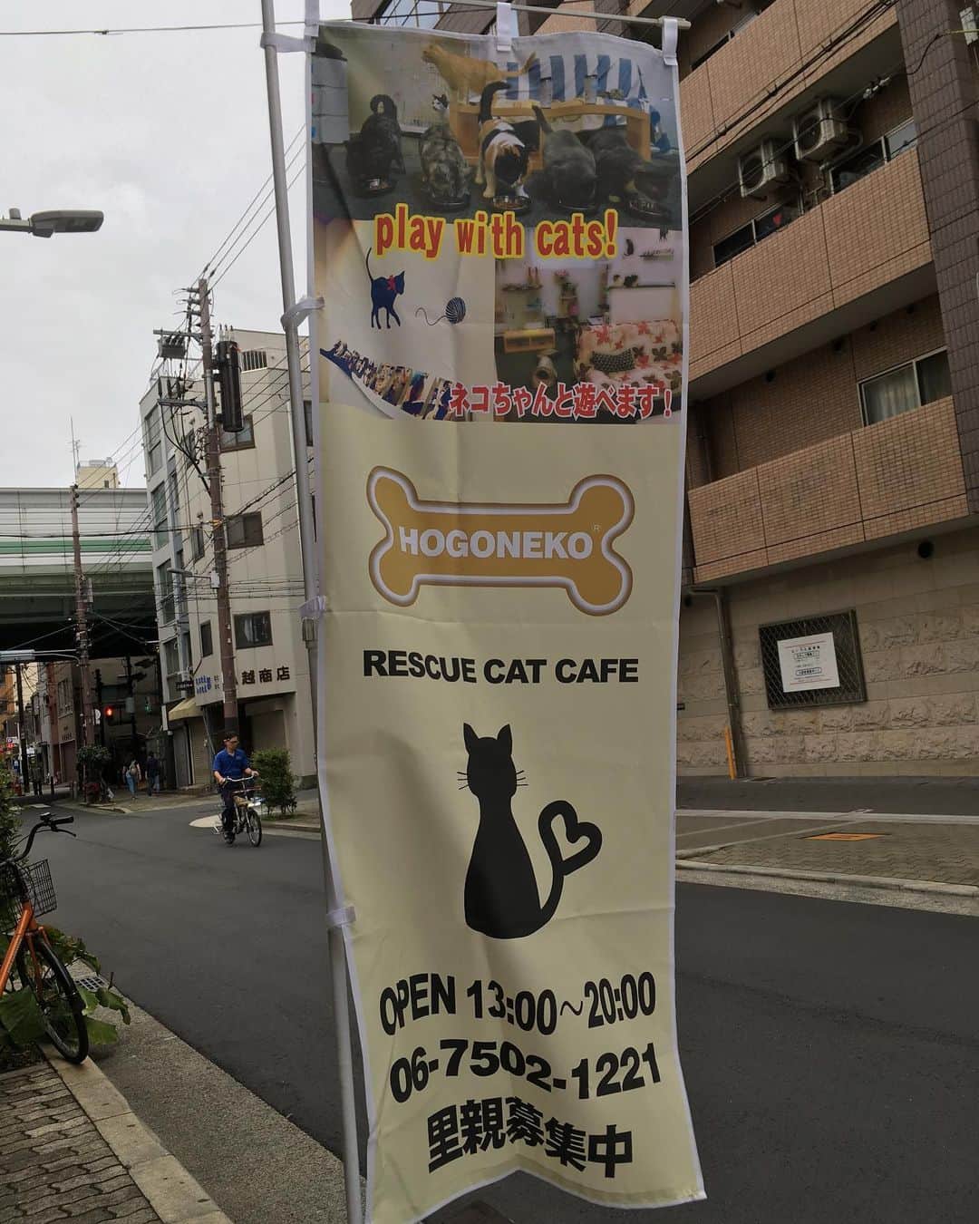福山理子さんのインスタグラム写真 - (福山理子Instagram)「大阪保護犬カフェ #保護犬カフェ #保護猫カフェ #殺処分ゼロを目指して #殺処分支援活動」10月13日 0時07分 - rikofukuyama