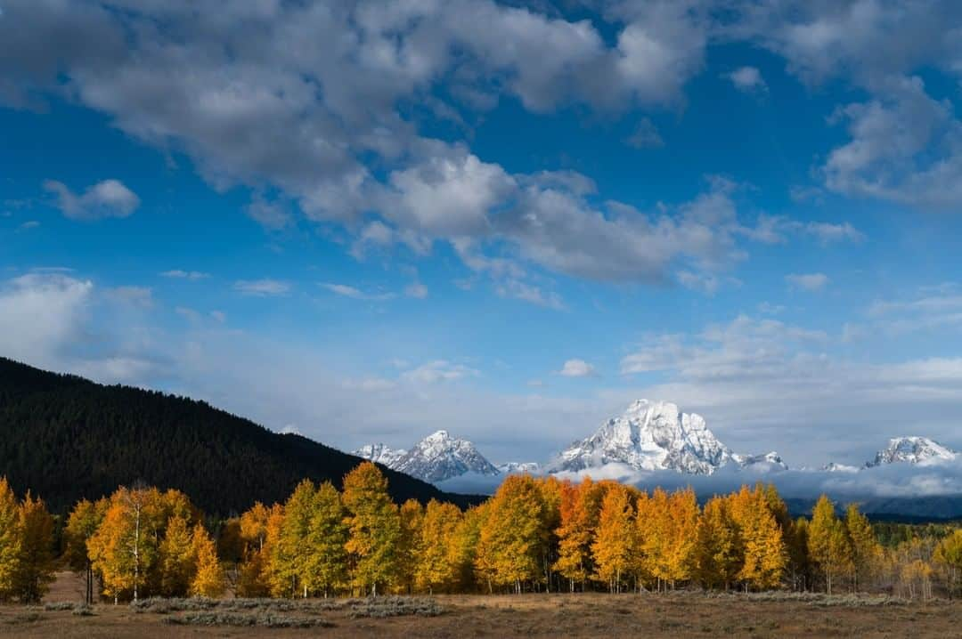 National Geographic Travelさんのインスタグラム写真 - (National Geographic TravelInstagram)「Photo by @taylorglenn | A classic view of the transition of seasons is seen in Grand Teton National Park, Wyoming. This year we have had several early and significant snowfalls in the mountains, which created incredible contrast with the autumn hues of the aspen trees. Follow me @taylorglenn for more fall images around the Tetons. #grandtetonnationalpark #wyoming」10月13日 1時07分 - natgeotravel