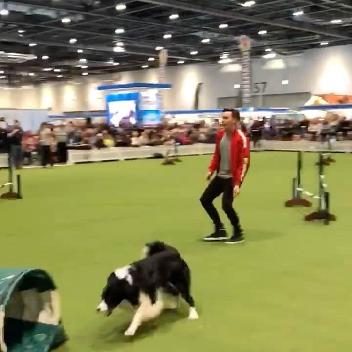 フィル・レスターのインスタグラム：「So.. I led a dog around an agility course today! (or let’s be real the dog led me) 🐶」
