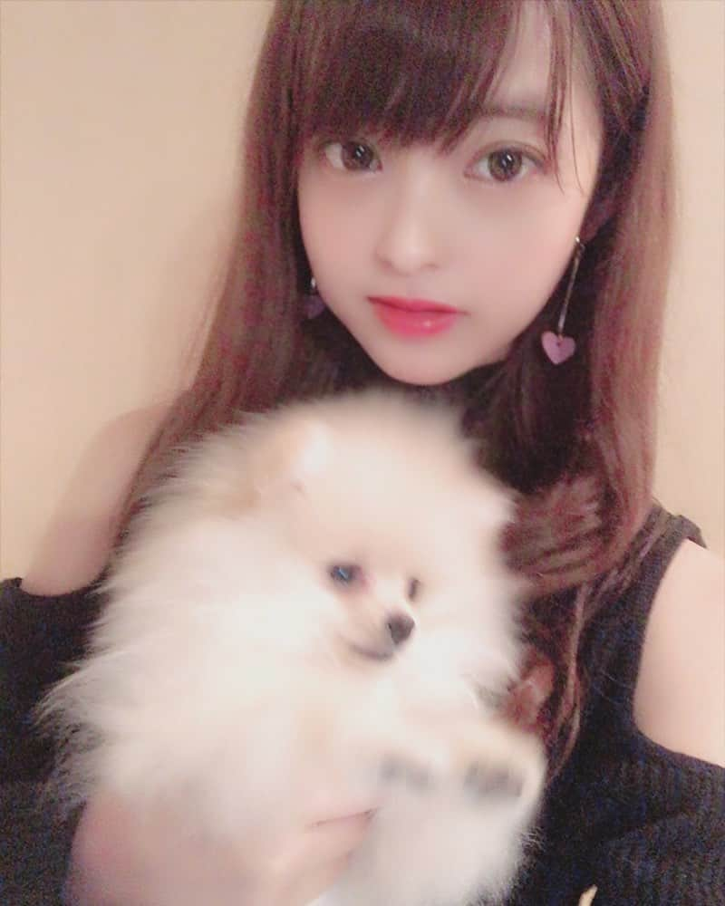 桜もこさんのインスタグラム写真 - (桜もこInstagram)「大好きなぴぴ🐶💓 たくさん活発的なぴぴも拗ねてるぴぴも可愛くて好き🥰  #ぴぴ #ピピ #もこもこ #happy #love #🐶」10月13日 1時41分 - mokochan319