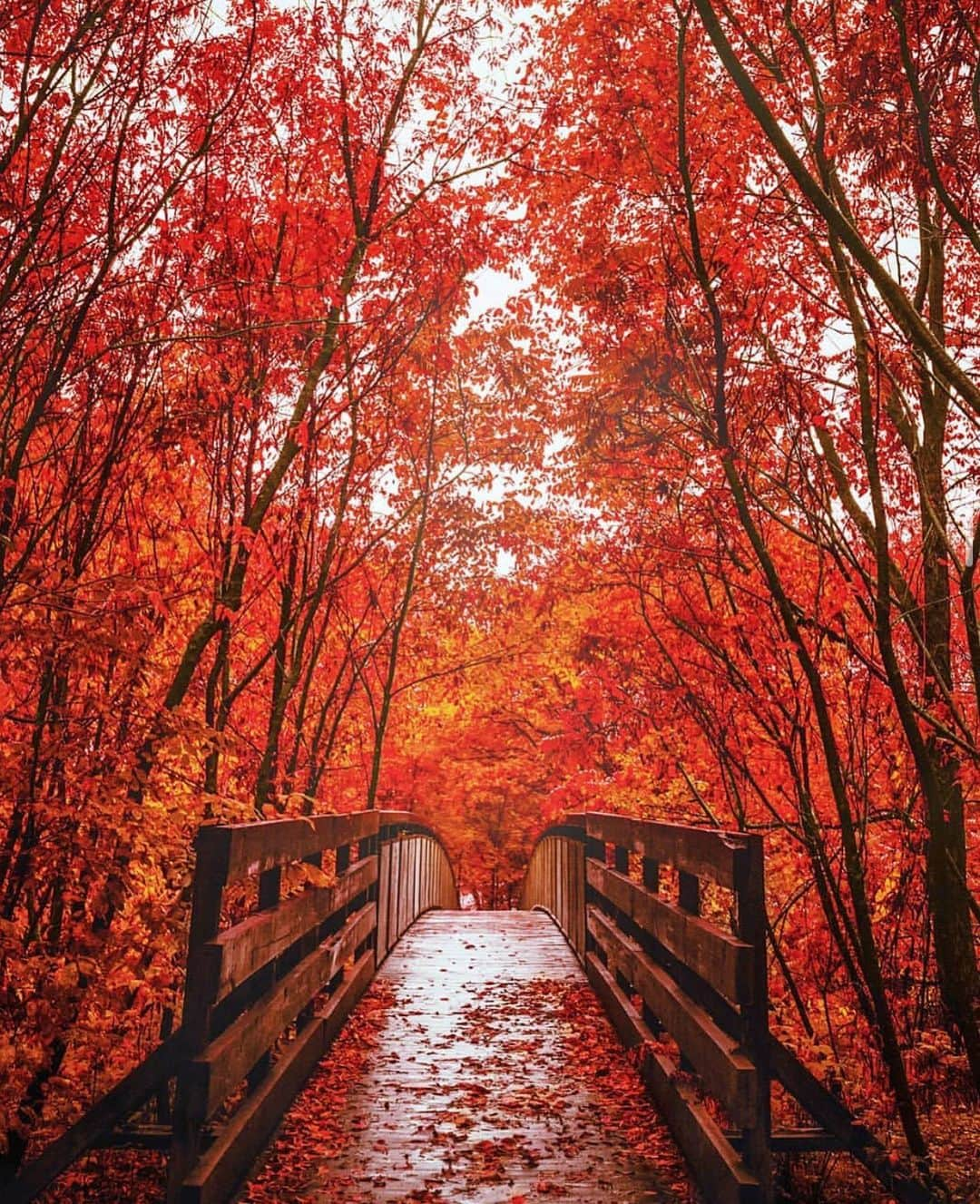 Wonderful Placesさんのインスタグラム写真 - (Wonderful PlacesInstagram)「Fall in Quebec - Canada ✨🍁🍁🍁✨ . Pictures by ✨✨@manucoveney✨✨ #wonderful_places for a feature ❤️」10月13日 1時51分 - wonderful_places