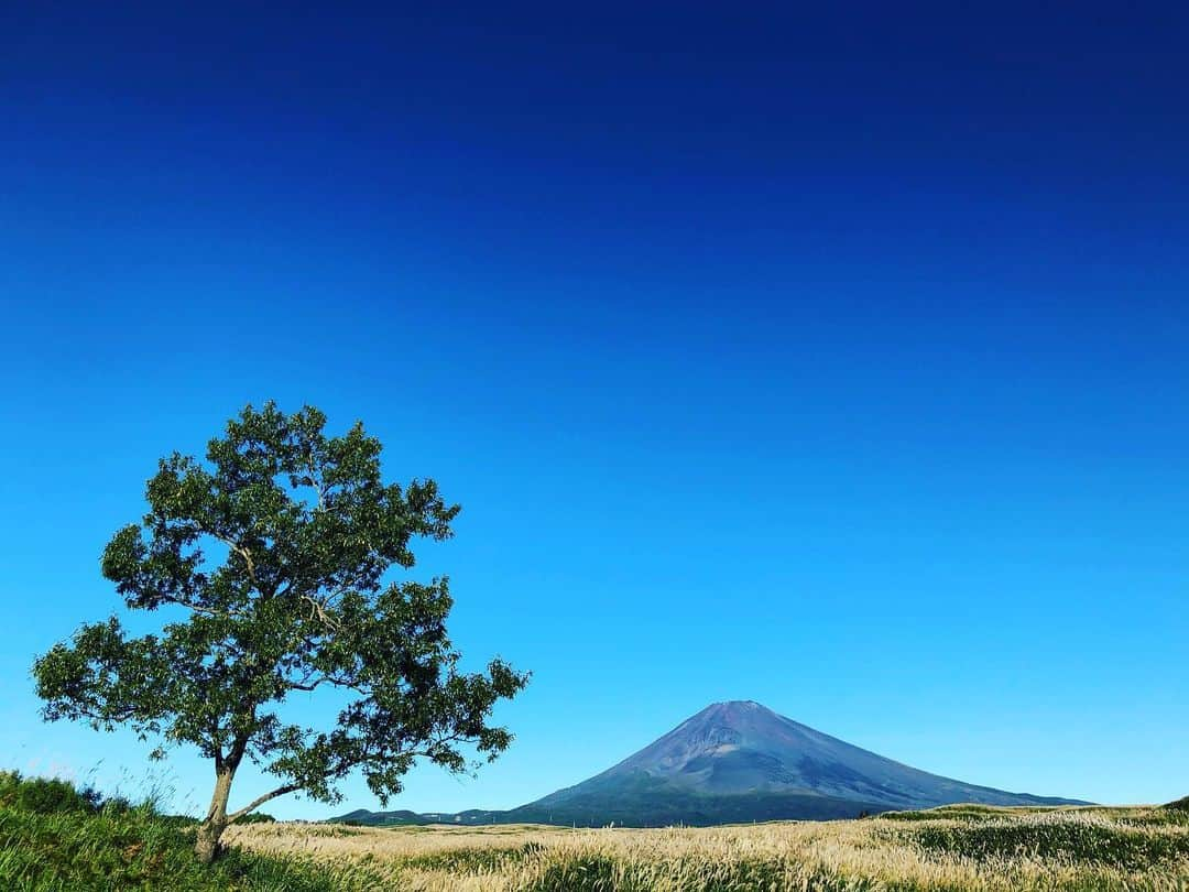 平山ユージさんのインスタグラム写真 - (平山ユージInstagram)「Start Wonderful Day☀️ #driving #tonagoya @thenorthfacecup @play.mtnagoya #mtfuji」10月13日 7時18分 - yuji_hirayama_stonerider