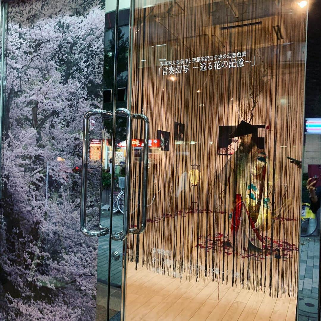沢口千恵のインスタグラム：「言奏幻写〜花を巡る記憶〜展  はじめての個展。 たくさんの方のお力をお借りしながらなんとか 走りきることができました。  なぜこんなふうに挑んだのかはいつかわかるのかもしれません。  そしてやっぱり 今を躊躇わずに生きられたらと おもいました。  写真家の大泉美佳さんの感性あっての空間でした。  お花の林宏美さん、美術の竹邊奈津子さん、ヘアメイクの坂本千恵美さん、渡邊春香さん、衣装のChiakiさん、尾崎ヨウスケさん。  世界観を演じてくださった女優の皆さま。  そしてなにからなにまでお世話になりました新宿眼科画廊の田中さん、みなさま  そしてそして、ご来店くださいましたすべての皆さま。  本当にありがとうございました！！ この世界を描けて、やっと一歩が踏み出せそうです。  #言奏幻写 #インスタレーション」