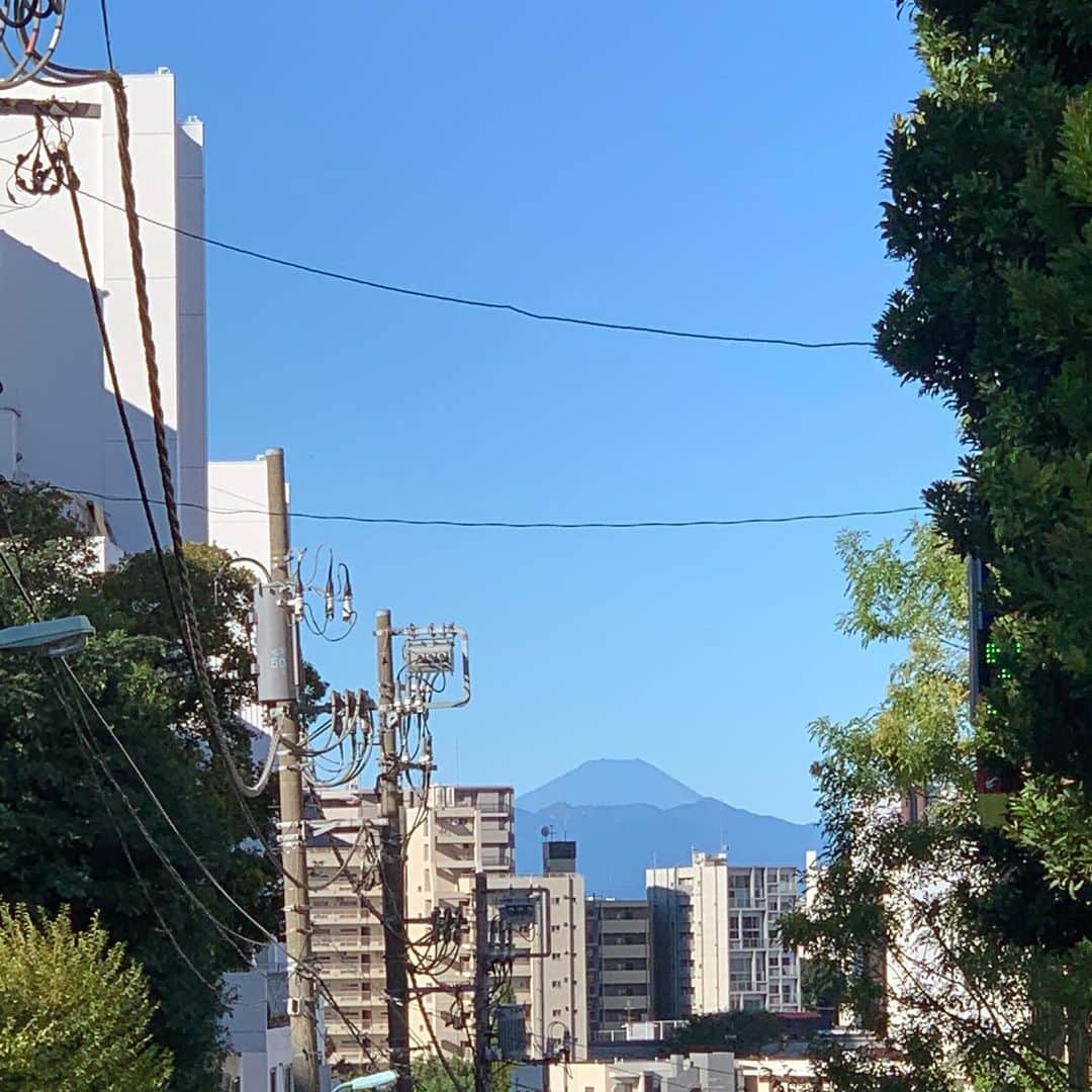 稚野鳥子さんのインスタグラム写真 - (稚野鳥子Instagram)「台風の通過後の都心から見える富士山。目黒三田通りのある場所から見えるのです。被害に遭われた方の早い復興を祈ります。ショップの方は通常通り12時より営業を再開致します。 #台風通過後 #無事でなによりです #晴天 #恵比寿アンティーク #toricoloreshop」10月13日 10時05分 - toricolore_shop