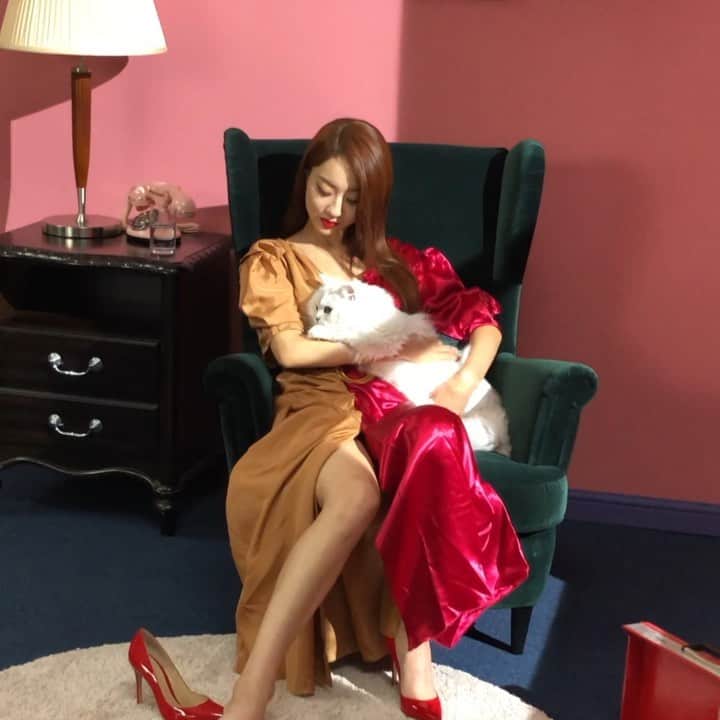 ギョンリ のインスタグラム：「고양이 미오와의 촬영은 이렇게, 찰나를 건져야 하는! 미오 고마워🐱 #뷰라벨1위 #수분앰플 @imsorryformyskin_official」
