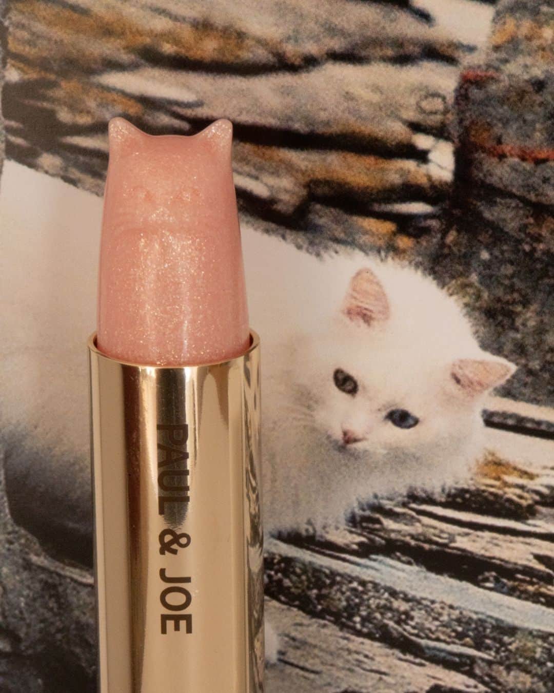 PAUL & JOE BEAUTEさんのインスタグラム写真 - (PAUL & JOE BEAUTEInstagram)「・⠀ The next of the three sisters is Chaton Lucia⠀ ⠀ While sweet like her sisters, Lucia spices things up by adding a touch of pearlescent to the lips. The elegant dose of sparkle adds dimension to the lips, giving a naturally plump effect. ⠀ ⠀ ■PEARL LIPSTICK⠀ "CHATON LUCIA"⠀ Elegant with a whole lot of personality⠀ *Check your local market for availability*⠀ ⠀ #PaulandJoe #paulandjoebeaute #ポールアンドジョー #holiday #nice #good #beautiful #beauty #instagood #Lipstick #Lip #sparkle #cat #catstagram #catlipstick #catsofinstagram #リップ #リップスティック #輝き #きらめき #パール #猫 #ネコ #ねこ」10月13日 12時00分 - paulandjoe_beaute