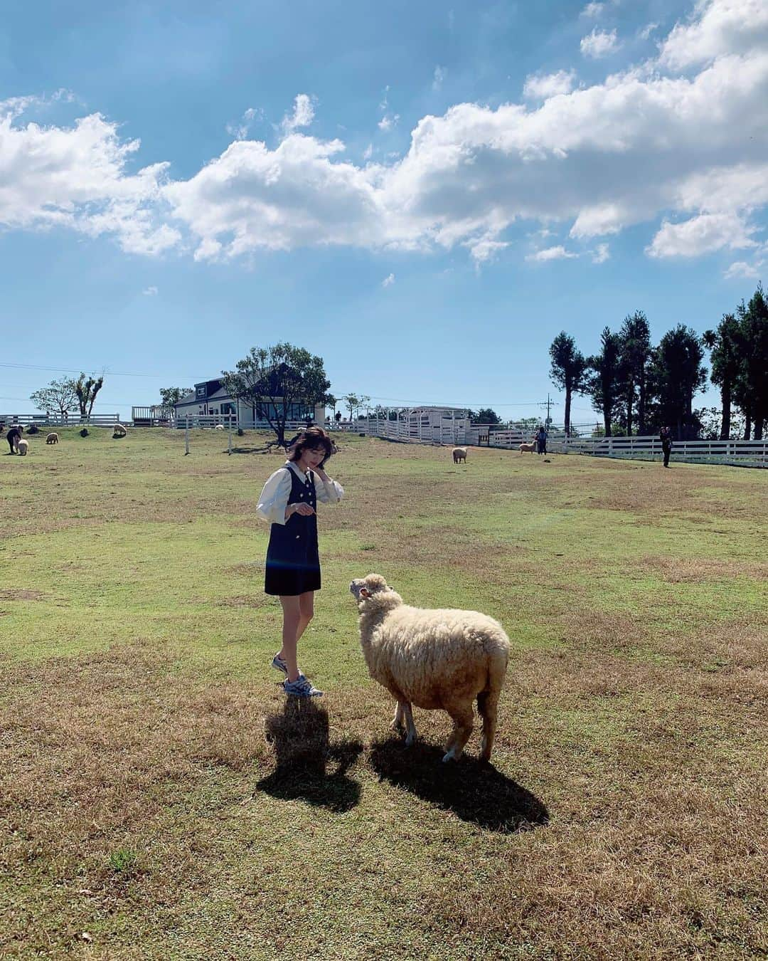 山本ソニアさんのインスタグラム写真 - (山本ソニアInstagram)「night night 🐏💞 #제주도  #済州島  #ソニ旅」10月13日 23時19分 - soniann0505