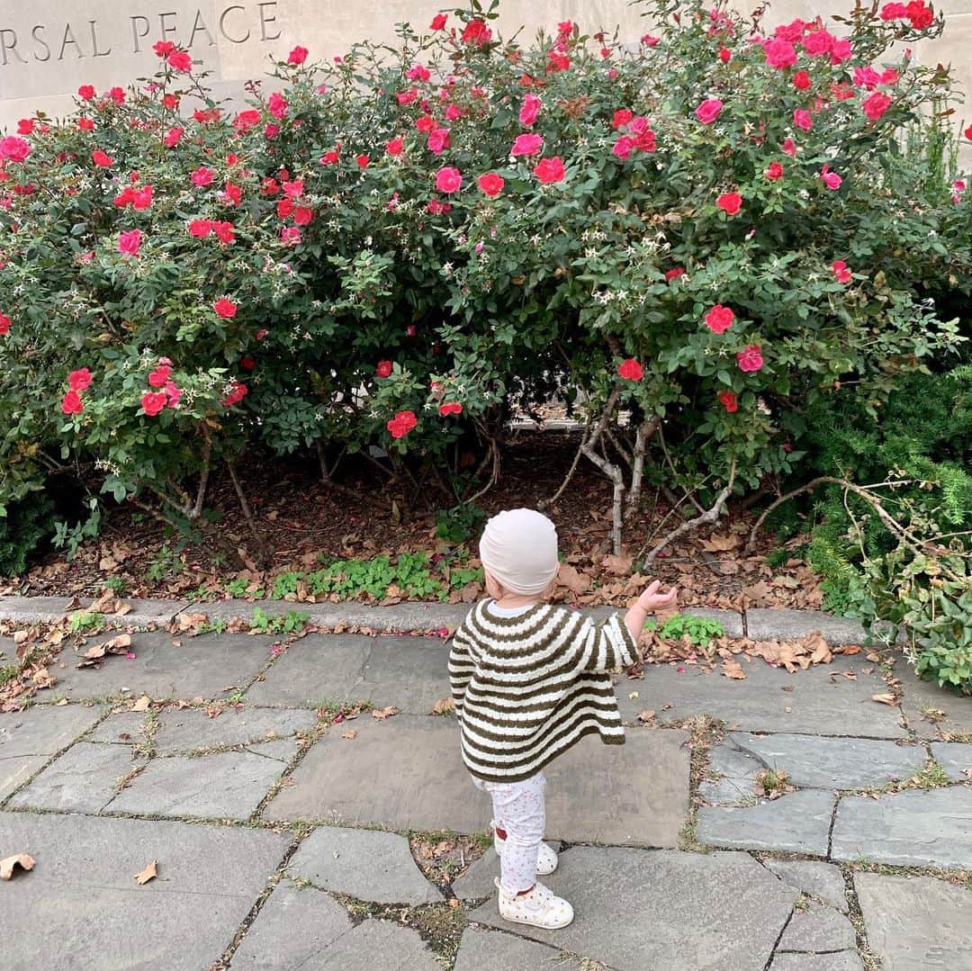 大塚良子のインスタグラム：「母が編んでくれたニットを着られる季節になりました。二歳児くらいの大きさで編んでくれたのでまだ少し大きいけど可愛い。相変わらず被り物が好きで道端のモノを拾っては被るこの頃。﻿ ﻿  来週は学校が休みなので久々にのんびり過ごせる週末、嬉しすぎる。﻿ #nyc #life #babygirl #13month﻿ #海外育児 #ニューヨーク」