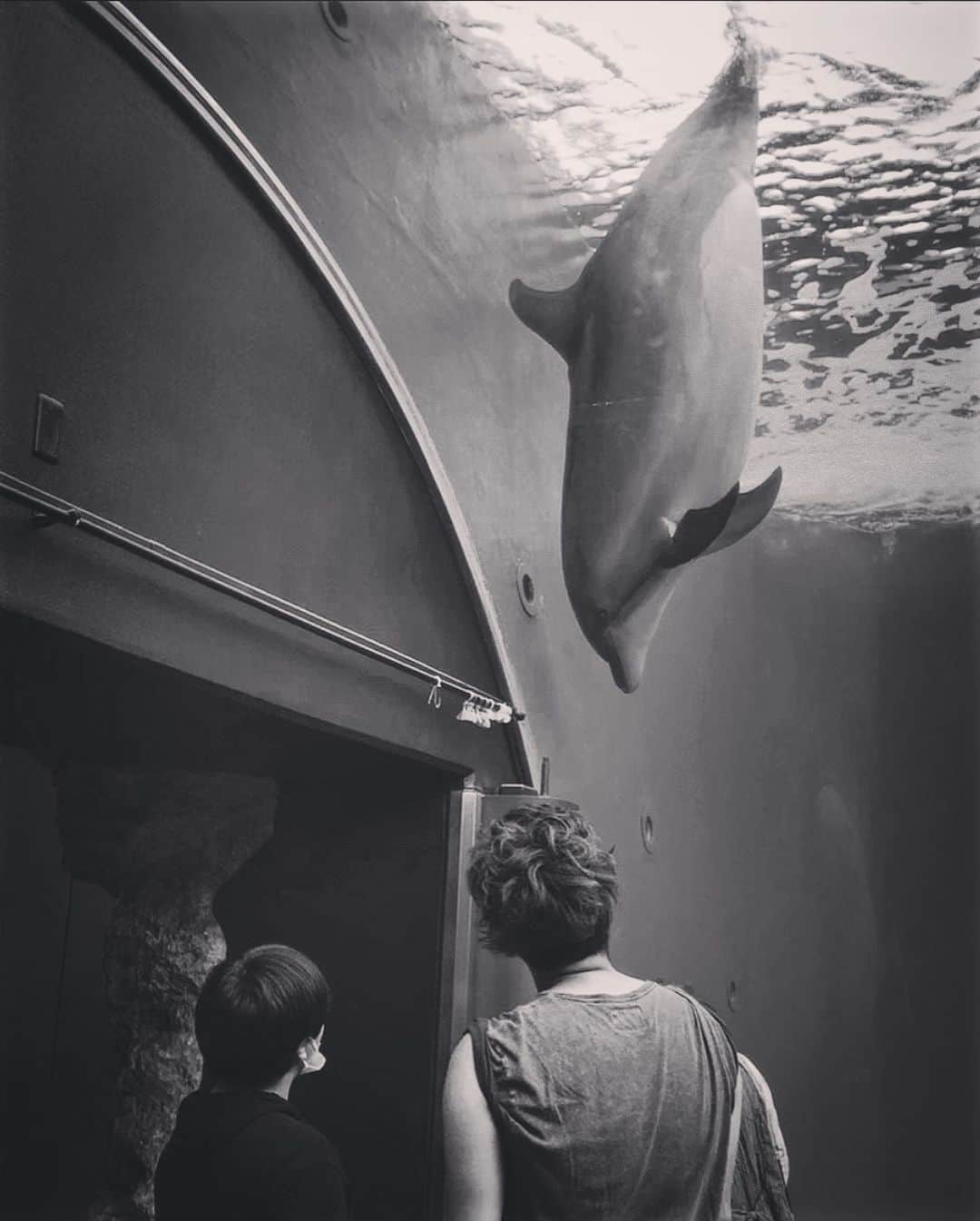 三船美佳さんのインスタグラム写真 - (三船美佳Instagram)「🐬 #八景島シーパラダイス#最近は休みとなると遠出する#6時間はドライブ圏内#家族3人旅#イルカの事は永遠とみていたい」10月13日 15時06分 - mikamifune_official