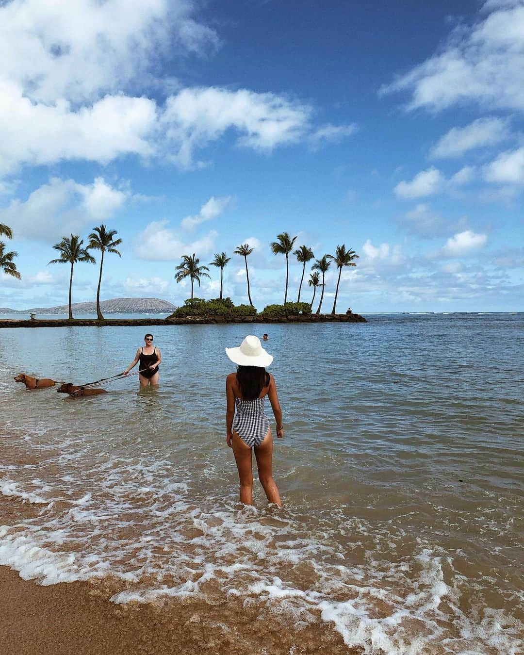 鈴木詩織さんのインスタグラム写真 - (鈴木詩織Instagram)「ホテルのビーチで大型犬を連れて来ている方がいて思わず話しかけてしまった🐶💕 . わんちゃんも綺麗な海で遊べてうれしいだろうな〜💕 リリーもいつかハワイの海で遊ばせたい🥺🥺🥺 . . . . .  #instagood#instatravel#japanesegirl#travel#shiorinsstravel#trip#hawaii#waikiki#kahala#kahalahotel#kahalahotelandresort#trip#travel#shiorinhawaii2019 #旅行#タビジョ#ビュースタグラマー#旅好きな人と繋がりたい#ハワイ#ハワイ旅行#ワイキキ#カハラ#カハラホテル#水着#大型犬」10月13日 15時11分 - shiorin0802suzuki