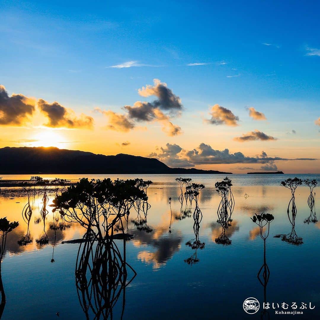 HAIMURUBUSHI はいむるぶしさんのインスタグラム写真 - (HAIMURUBUSHI はいむるぶしInstagram)「西表島に夕日が沈むひと時は幻想的な空間に包まれ、思わず息を呑む夕景です。 アコークロー（方言で"夕暮れ時"の意味）はちょっと足を延ばして夕焼けをお楽しみください。  #八重山諸島 #小浜島 #リゾート #はいむるぶし #yaeyamaislands #kohamajima #beachresort #haimurubushi」10月13日 15時50分 - haimurubushi_resorts