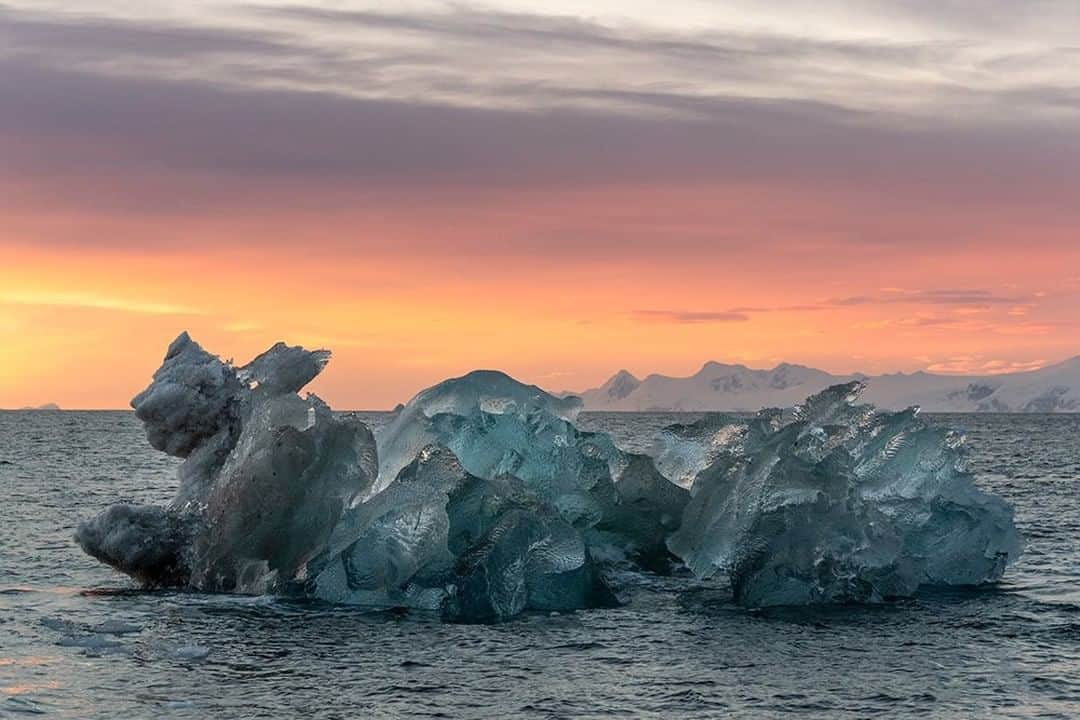 National Geographic Travelさんのインスタグラム写真 - (National Geographic TravelInstagram)「Photo by Daisy Gilardini @daisygilardini | Have you ever wondered why some color images stand out more than others? It has to do with the combination of colors in your picture. Complementary colors—the opposites on the color wheel, such as red and green, blue and orange, yellow and purple—stand out and vibrate because they create strong contrast. A good exercise is to go out in the street and try to shoot complementary colors. By learning what to look for and incorporating these elements into your composition, you will make images that immediately pop out. In the polar regions, one of the most effective examples of how complementary colors make images more vibrant appears when shooting an iceberg, like this one in Antarctica, at sunset or sunrise. Follow me @daisygilardini for more images and behind-the-scenes stories. #Antarctica #landscapephotography #iceberg #climatechange」10月13日 17時08分 - natgeotravel