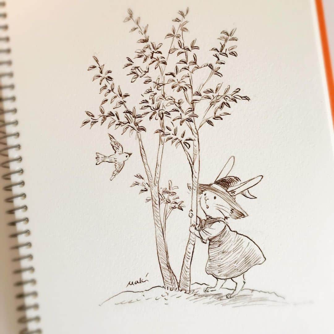 イラストレーター山崎牧子さんのインスタグラム写真 - (イラストレーター山崎牧子Instagram)「Day.13 Sweet leaf. 灰から灰の木をイメージし、 調べたら 「誕生花」という花言葉を 持つそうです。 怖く、大きな台風でした。 被災された方々の一日も早い 復興を心よりお祈りします。  #inktober2019#inktober#ash#illustrator」10月13日 17時11分 - makiko.inatome