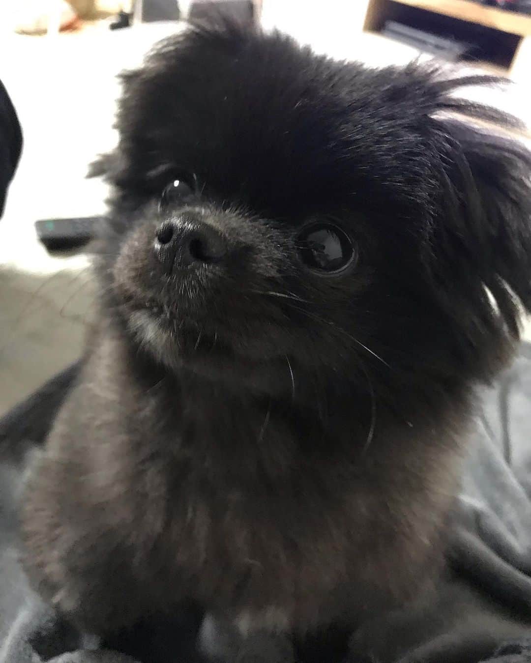 サンミンのインスタグラム：「오잉??👀」