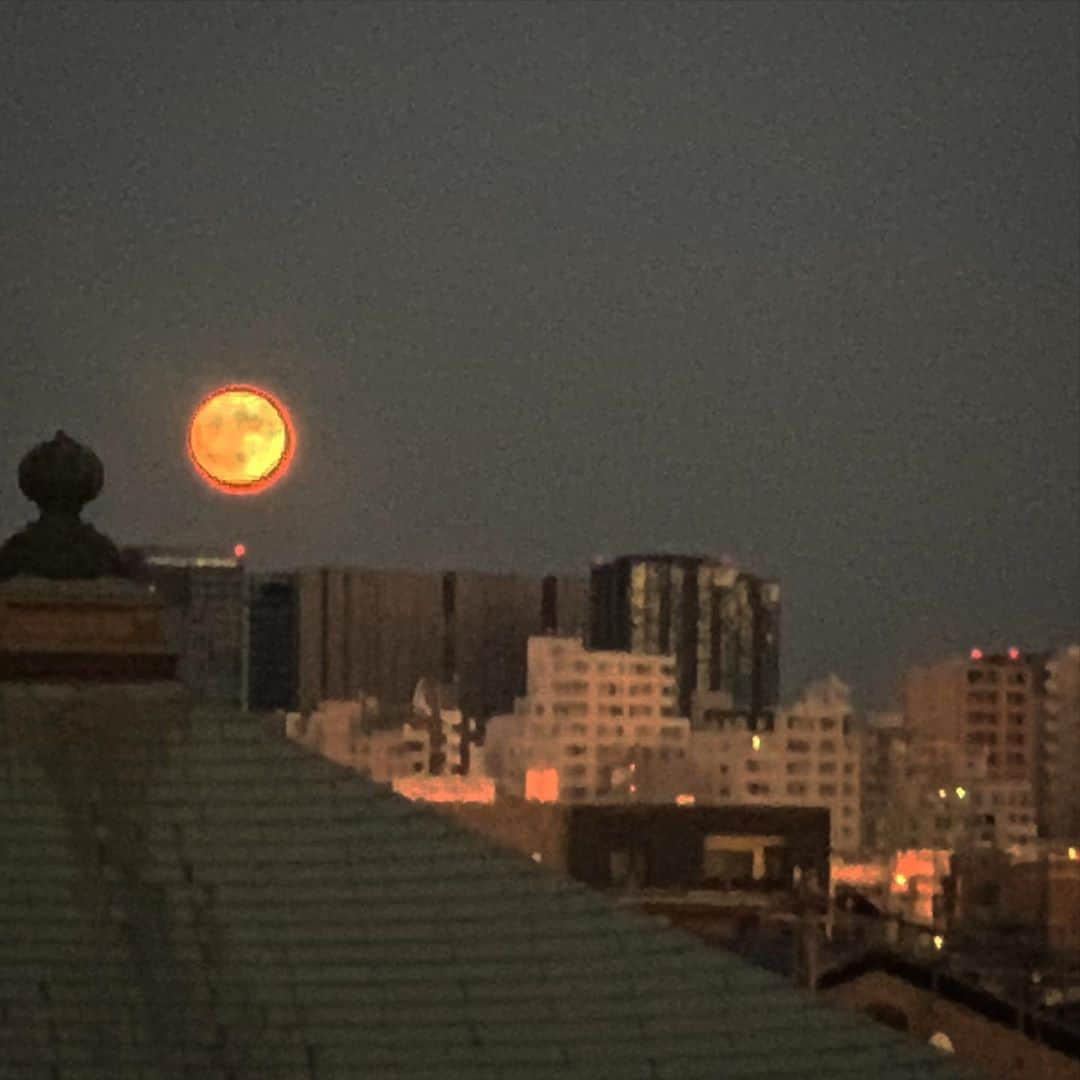 伊勢谷友介さんのインスタグラム写真 - (伊勢谷友介Instagram)「月が凄かったんだよ。今日の月の出が。 Moon rising was so gorgeous today. #moonrise  #aftertyphoon」10月13日 23時54分 - iseya_yusuke