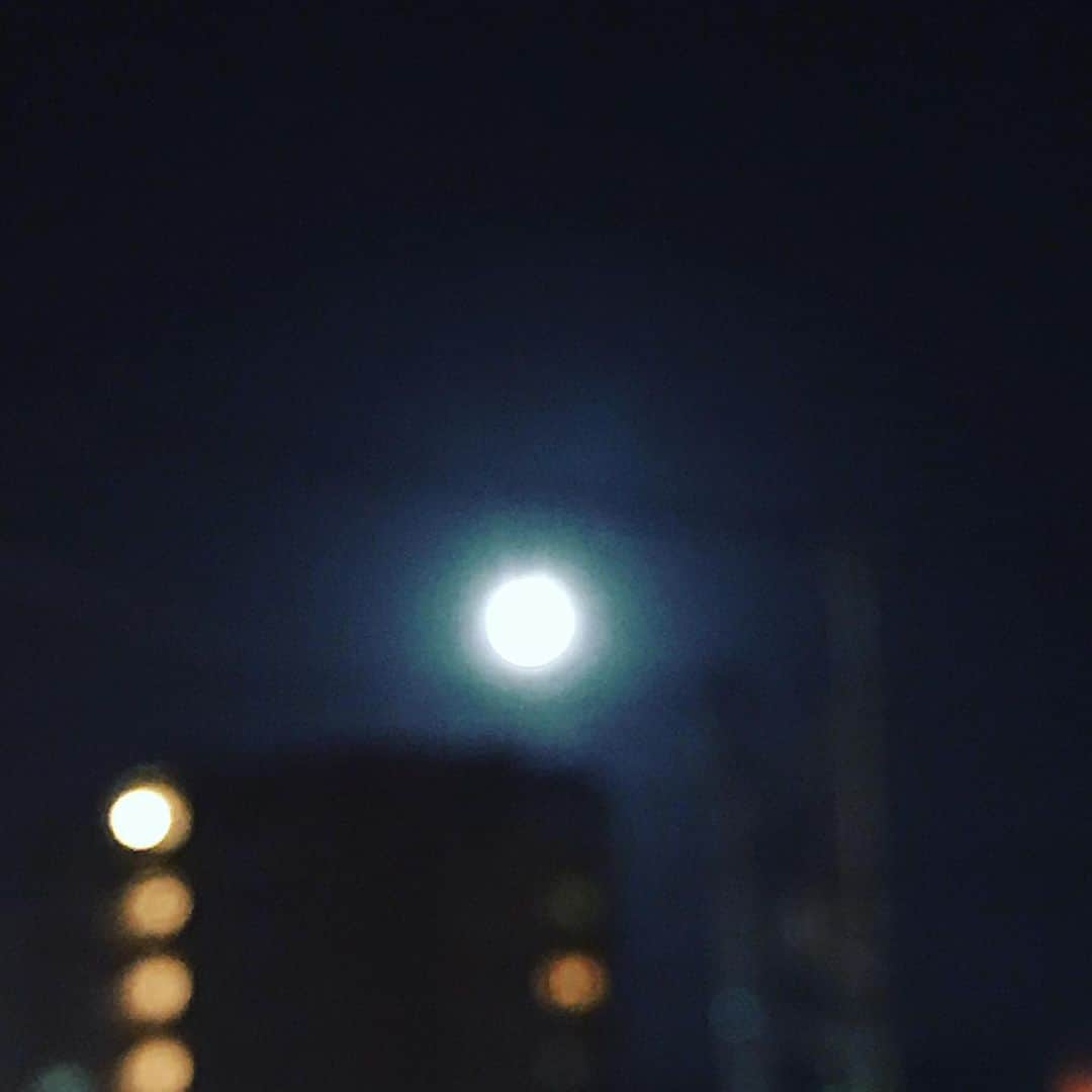 魔女菅原さんのインスタグラム写真 - (魔女菅原Instagram)「満月はあしたですが、大きなはっきりした月。  #月 #小望月 #14番目の月  #魔女菅原」10月13日 18時42分 - hatsuyosugawara