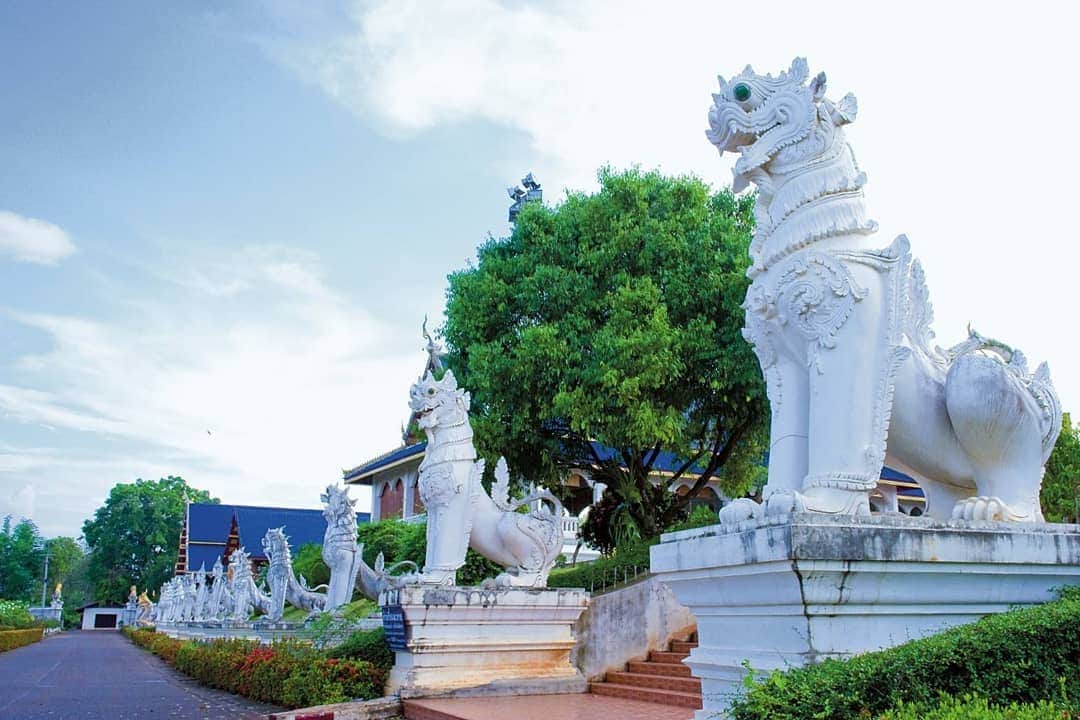 タイ国政府観光庁さんのインスタグラム写真 - (タイ国政府観光庁Instagram)「⠀ ／⠀ 🇹🇭タイでどこ行く❓何する❓⠀ 今月のオススメは...😎✨⠀ ＼⠀ ⠀ 📍チェンマイ⠀ 🌟今週のテーマ：今行くべきチェンマイの観光スポット⠀ ⠀ ⠀ チェンマイで今行くべき人気注目スポットは寺院「ワット・バンデン」🐲💕⠀ ⠀ 1894年に建立された「ワット・バンデン」は、その後改修工事を経て、1988年にランナー様式の伝統的で立派な建物に生まれ変わりました✨⠀ カラフルな色合いも特徴的🏳️‍🌈⠀ ⠀ 本堂の階段の両脇には、大きなナーガ（蛇神）像が並び、その他にも、シンハー（白いライオン）の彫像が守護神として配されています。大きな涅槃像も必見です‼️⠀ ⠀ 《アクセス》⠀ チェンマイ中心地から車で約１時間🚗⠀ ⠀ #タイ #チェンマイ #ワットバンデン #タイ寺院 #お寺巡り #フォトジェニック #こんなタイ知らなかった #もっと知りタイ #タイ旅行 #チェンマイ旅行 #インスタ映え #ファインダー越しの私の世界 #旅好きな人と繋がりたい #旅行好きな人と繋がりたい #海外旅行 #タビジョ #thailand #chiangmai #WatBanden #temple #amazingthailand #thailandtravel #thailandtrip #thai #thaistagram #lovethailand #genic_thailand #tabijyomap_thailand」10月13日 19時22分 - amazingthailandjp