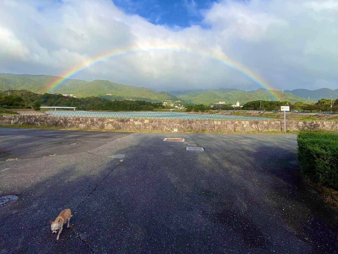 山田佳子さんのインスタグラム写真 - (山田佳子Instagram)「台風一過の青空。﻿ ﻿ 朝のお散歩中、キレイな虹🌈﻿ ﻿ #お散歩中﻿ #レノン #キレイ #虹﻿ #rainbow🌈  #台風一過﻿ #日曜日」10月13日 19時39分 - yoshiko117