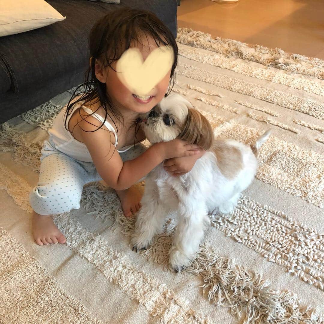 いりこのインスタグラム：「うれしそう👧🏻 & いやそう🐶 妹の愛のほうが強め。」