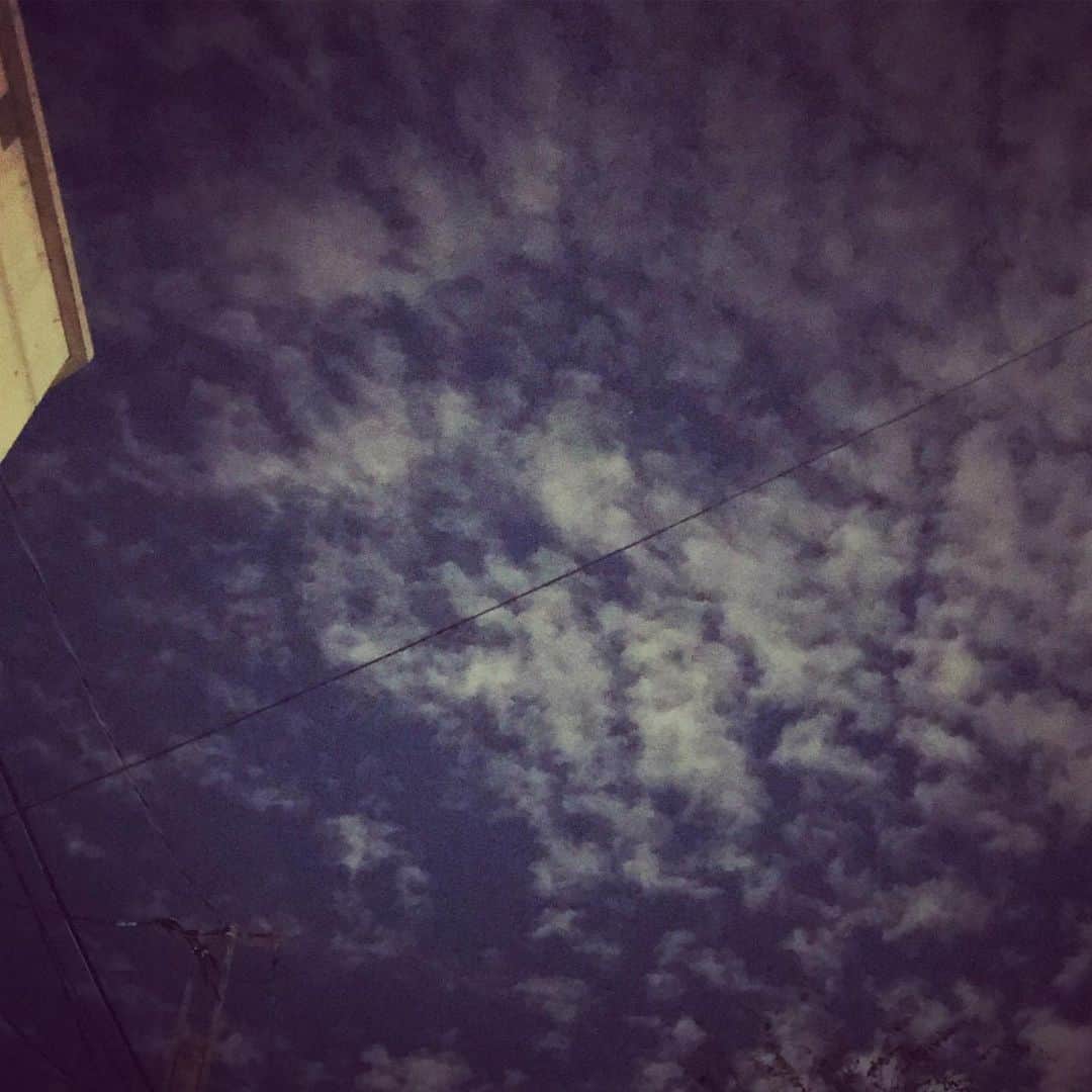 野波麻帆さんのインスタグラム写真 - (野波麻帆Instagram)「。 台風が過ぎ去って、 眩しいほどの晴天だった今日。 新しい作品の顔合わせ本読みお祓い。 気持ちを新たに、 皆さんと渦巻く気持ちを分かち合い 通じ合っていけますように...」10月13日 20時44分 - mahononami