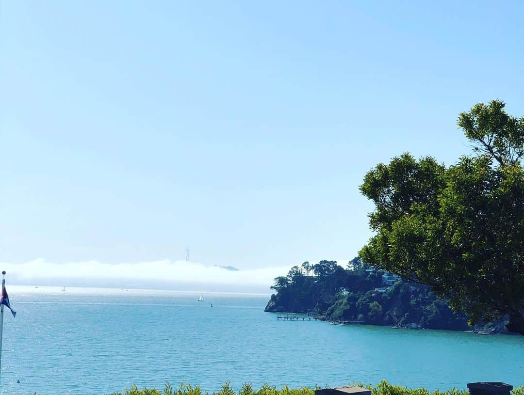 倉永美沙さんのインスタグラム写真 - (倉永美沙Instagram)「A beautiful Sunday in Marin. サンフランシスコ郊外での日曜日　#ballet #ballerina #ballerinalife #happy #happiness #dance #art #幸せ #バレエ #バレリーナ #rehearsal #travellife #work #ballet #ballerina #sf #ballerinalife #happy #happiness #dance #art #幸せ #バレエ #バレリーナ #rehearsal #travellife #work」10月14日 7時35分 - misakuranaga